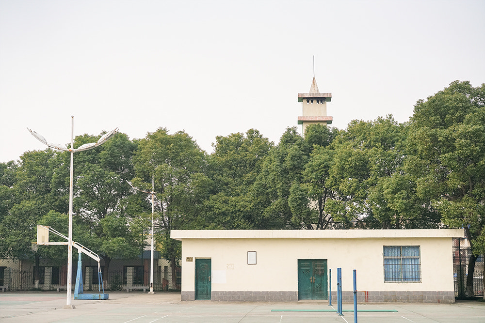 Sony a7R II + Sony Sonnar T* FE 55mm F1.8 ZA sample photo. Dsc photography