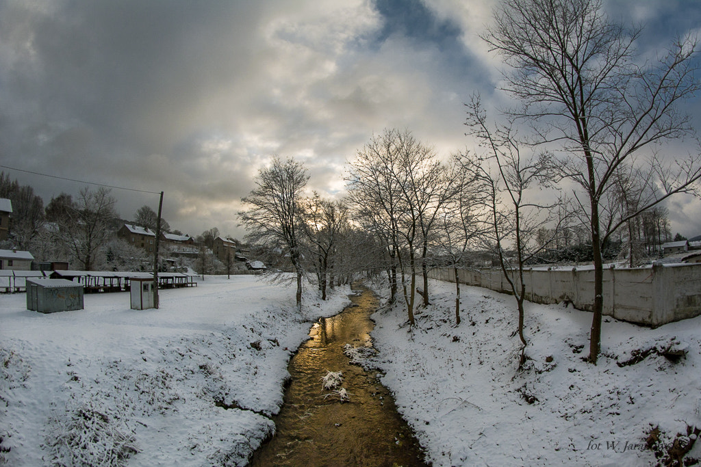 Nikon D7100 + Samyang 8mm F3.5 Aspherical IF MC Fisheye sample photo. Morning, gold river. głuszyca- rzeka bystrzyca photography