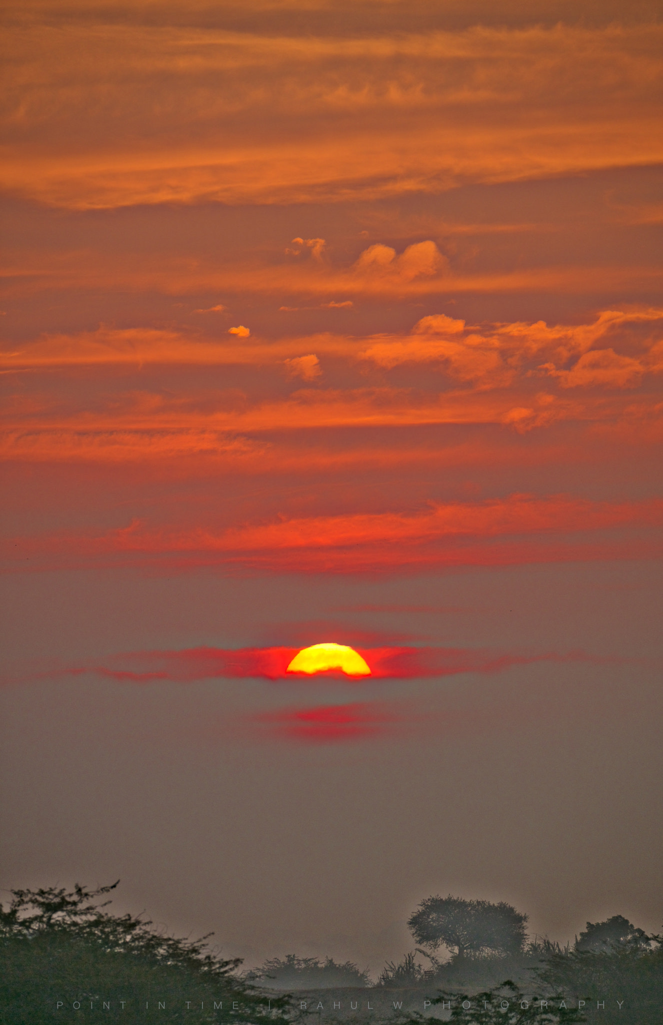Sigma 150mm f/2.8 EX DG OS HSM APO Macro sample photo. Good morning photography