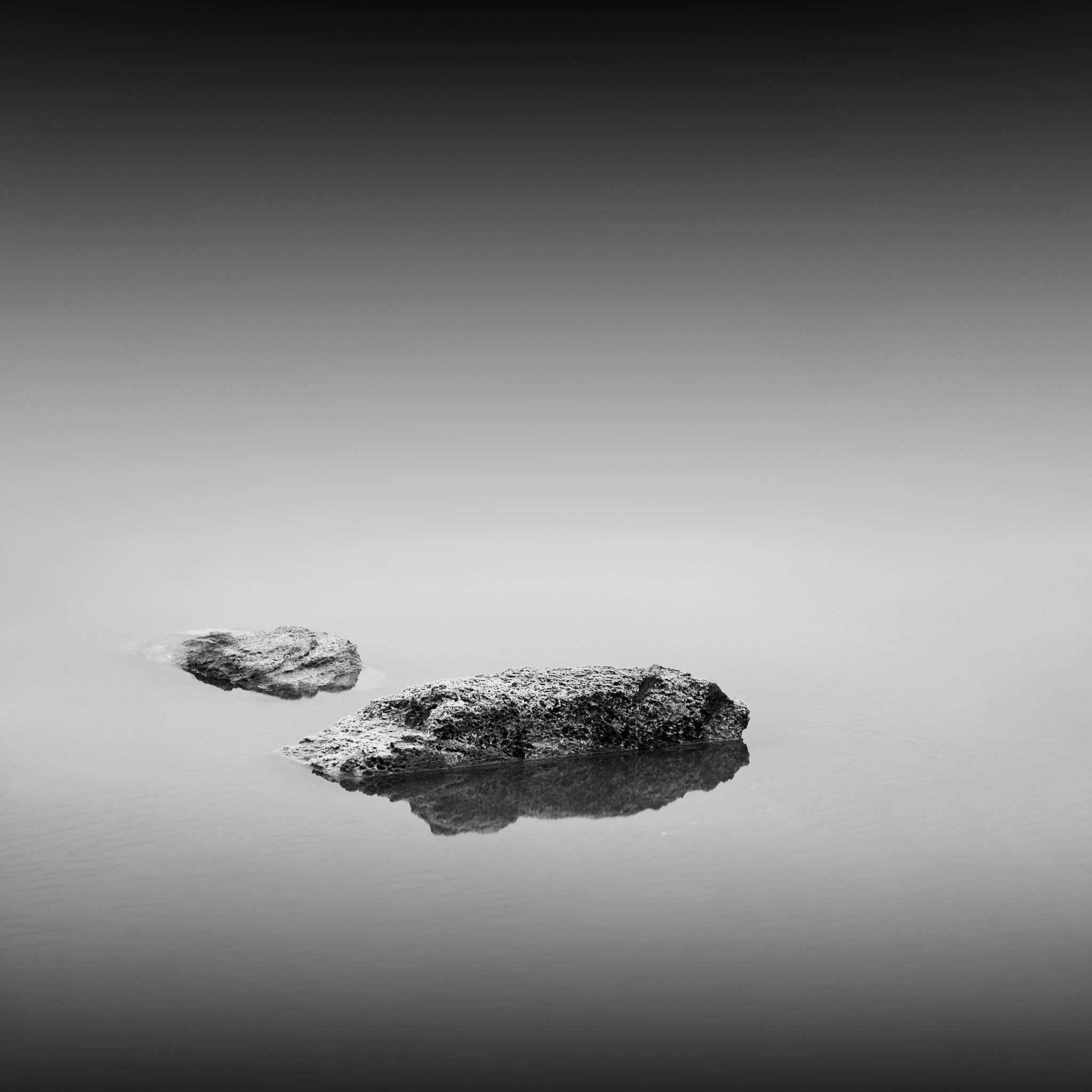 Nikon D80 sample photo. ... photography