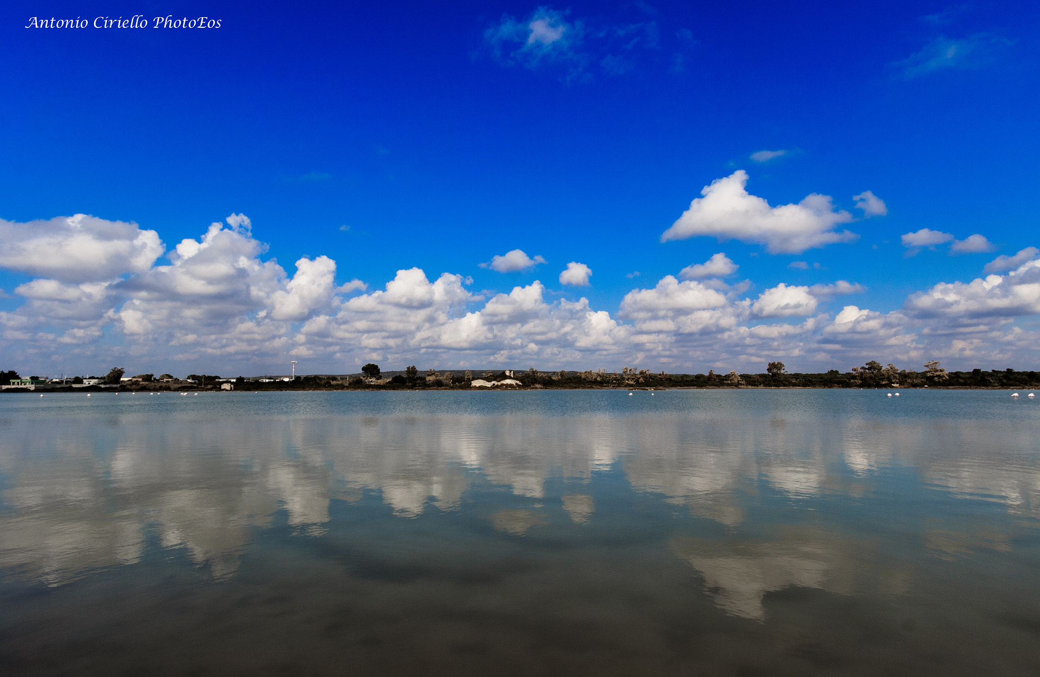 Canon EF-S 10-22mm F3.5-4.5 USM sample photo. Riflessi in salina photography
