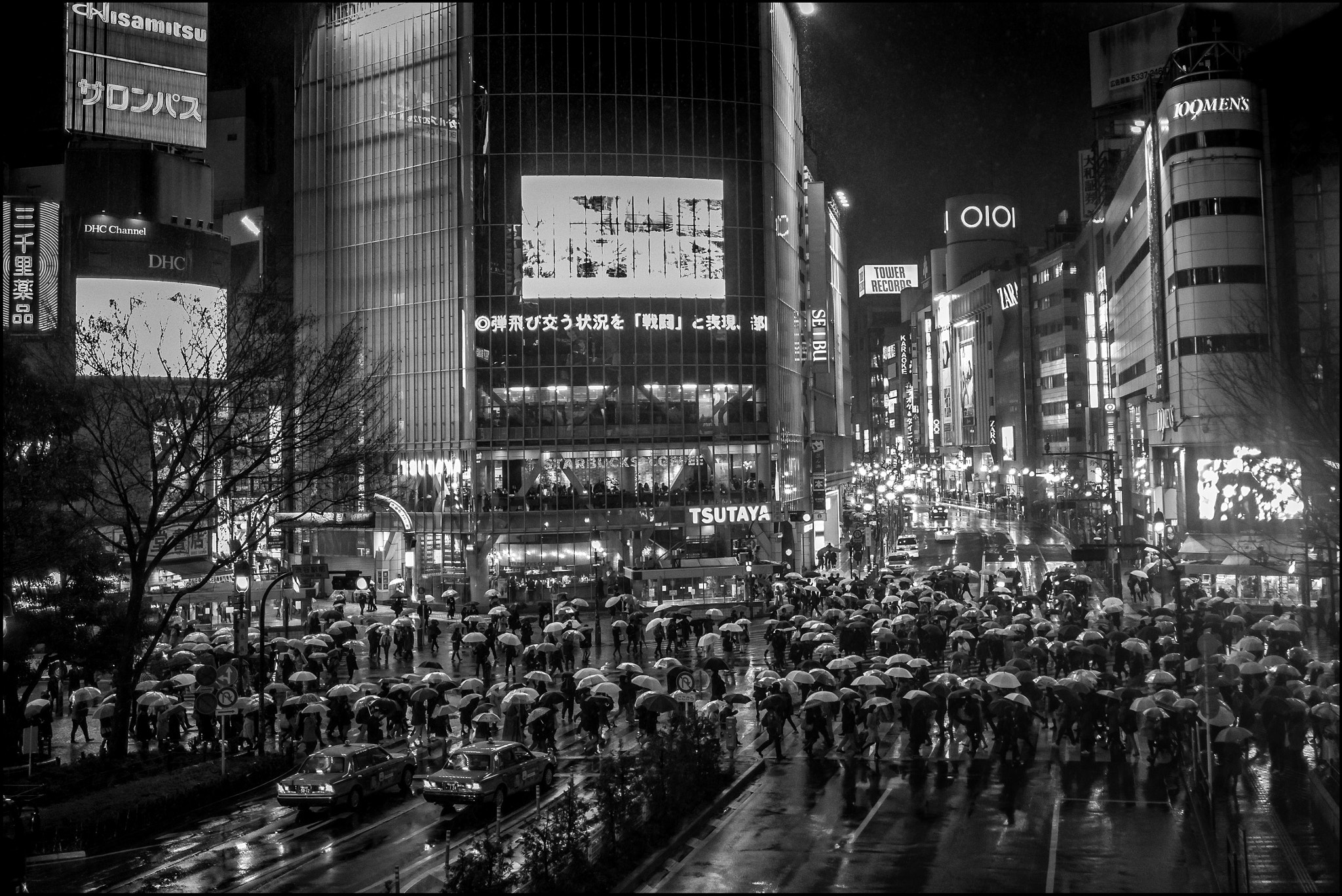 Summilux-M 1:1.4/28 ASPH. sample photo. Magic mushrooms photography