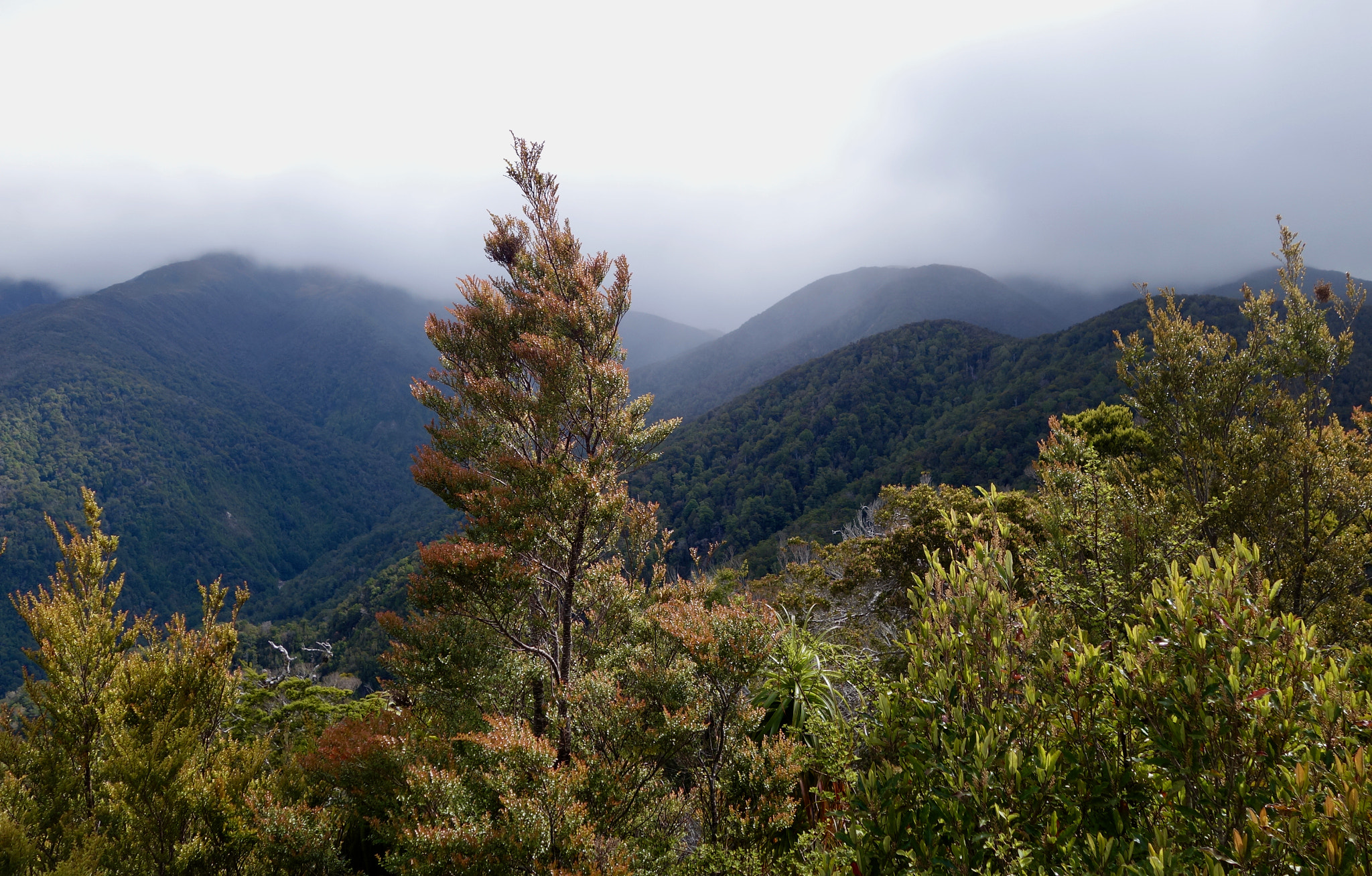 Sony 28-100mm F1.8-4.9 sample photo. On the heaphy track photography
