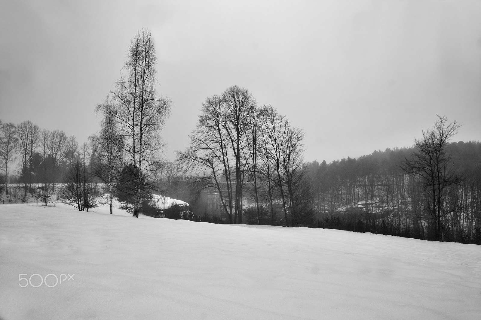 Nikon Coolpix P6000 sample photo. Snowy meadow near valley peklo in machuv kraj region with train on railway bridge on background photography
