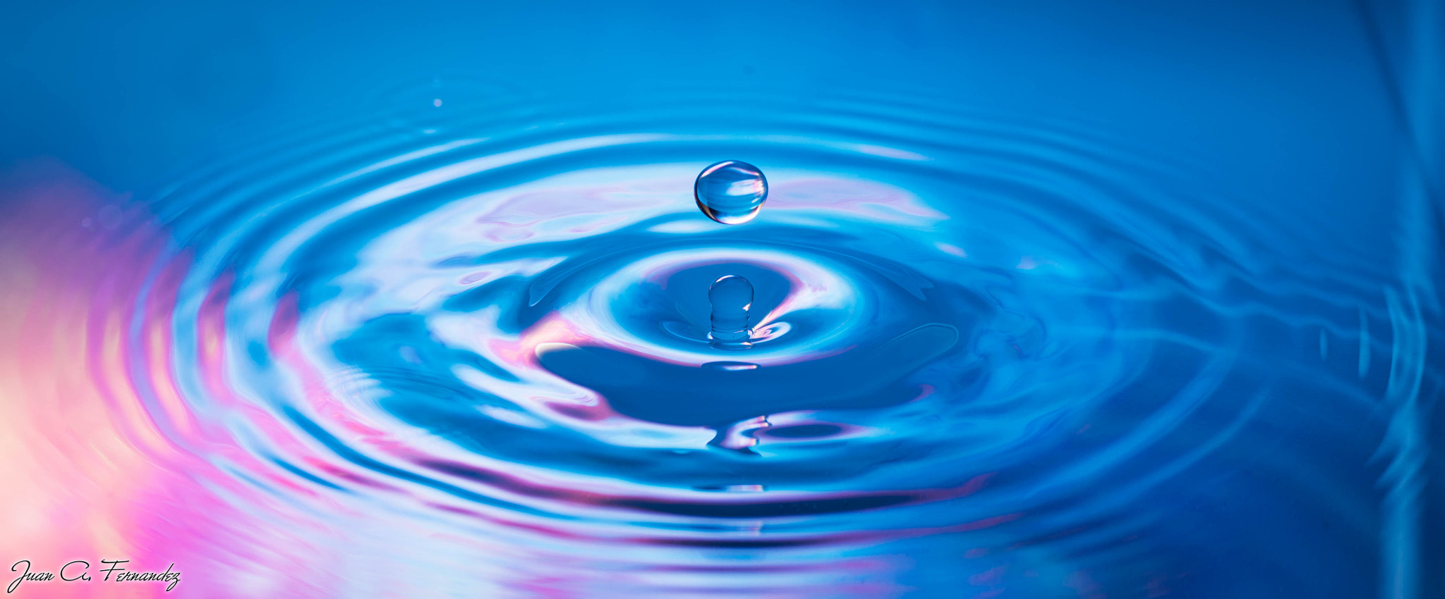 Nikon D610 sample photo. Water drop purple and blue photography