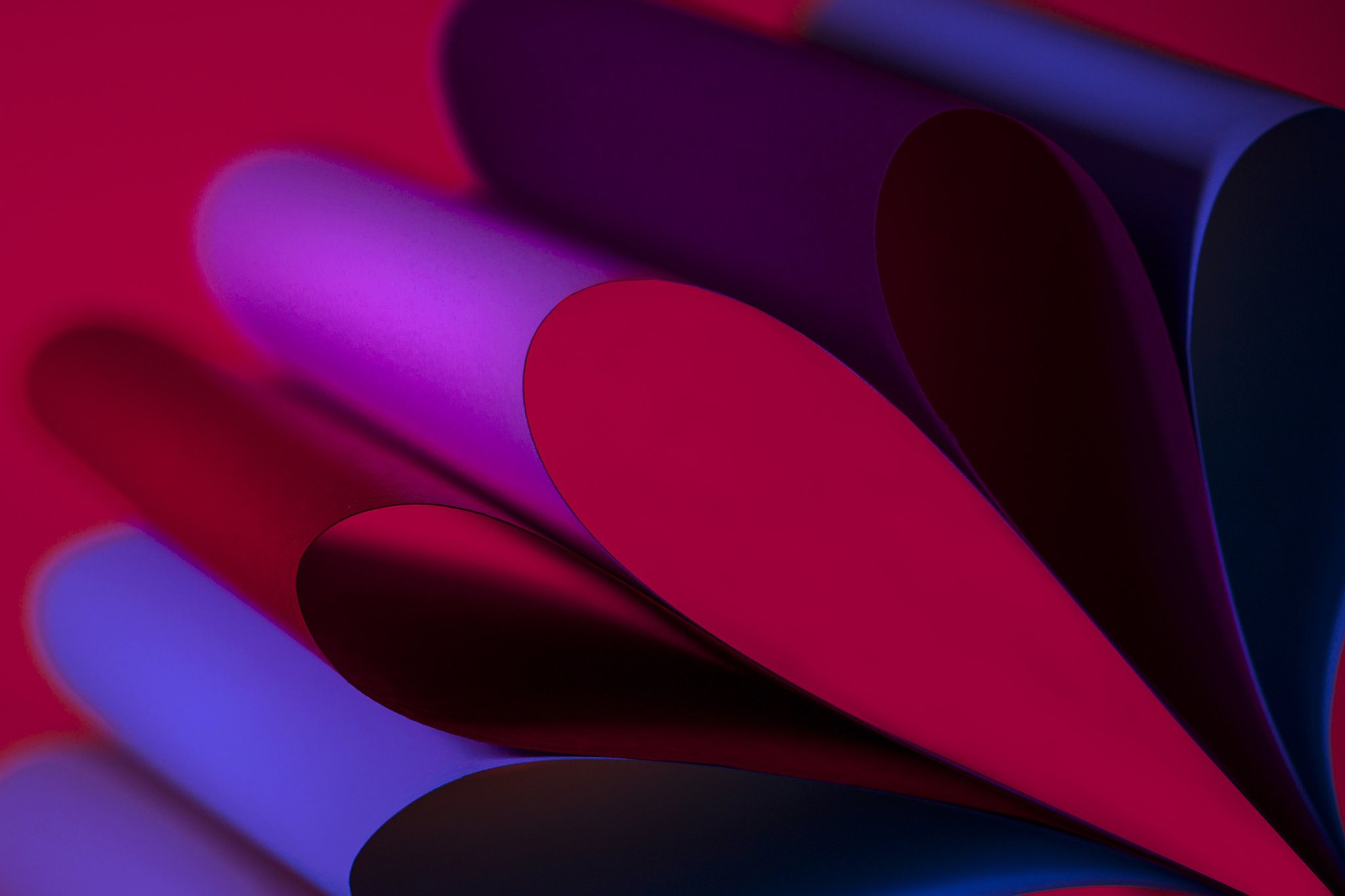 Canon EF 100mm F2.8 Macro USM sample photo. Paper art ii photography