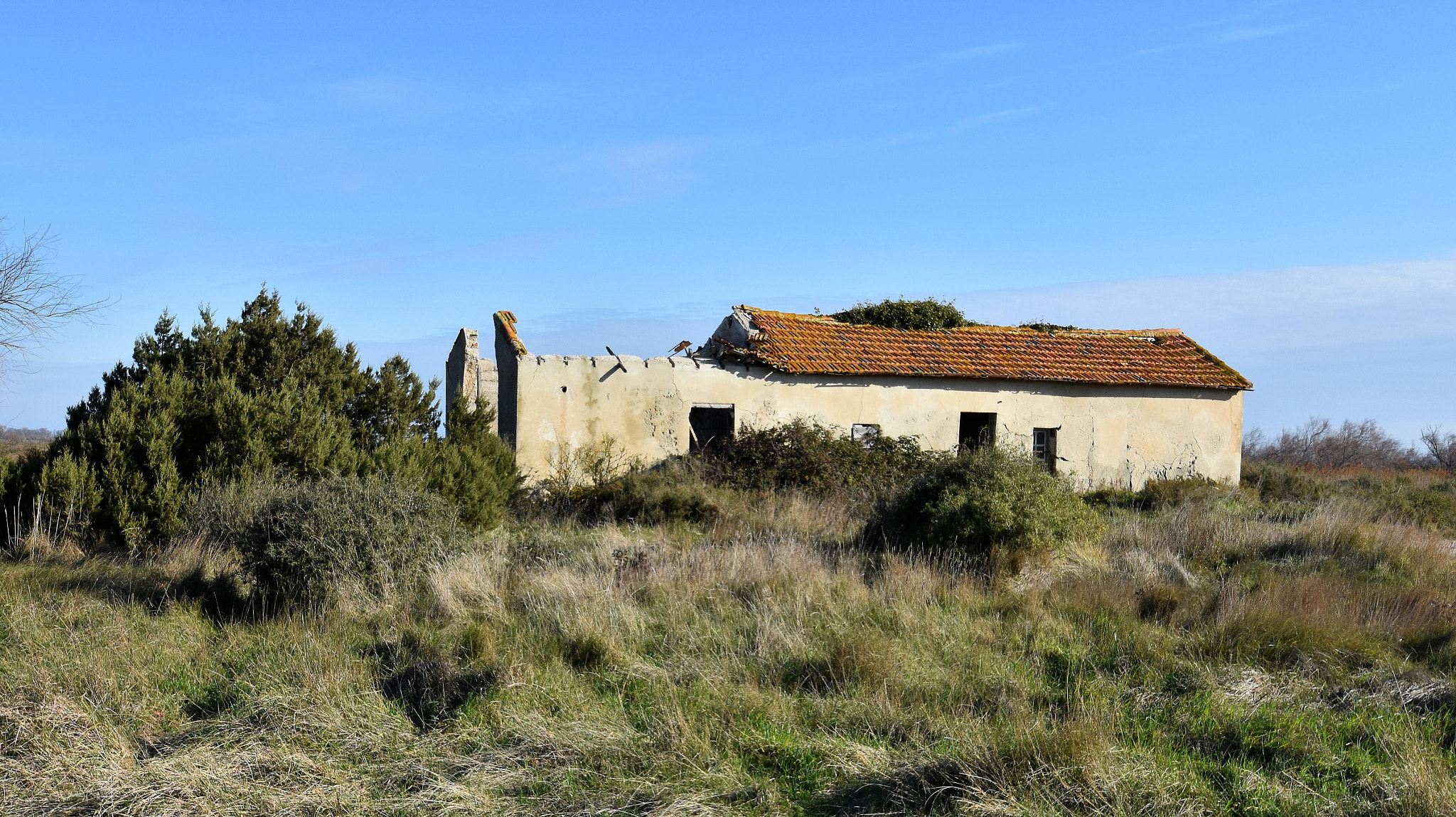 Nikon D7200 sample photo. "nowbody home;;,;,cince yesterday;1" photography