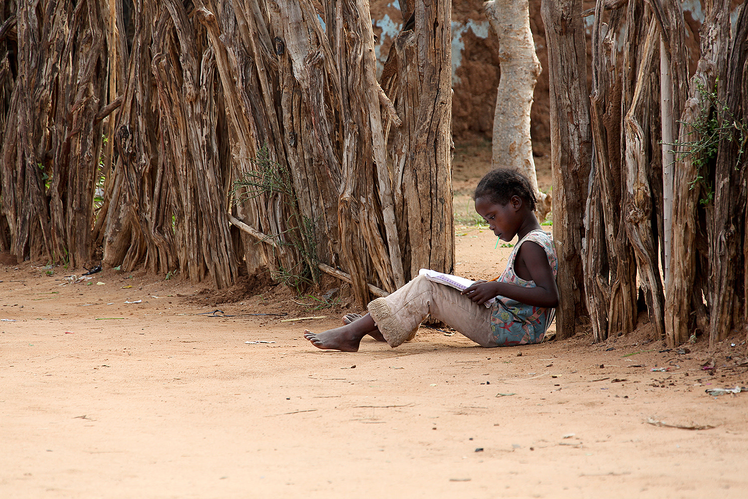 Canon EF 28-300mm F3.5-5.6L IS USM sample photo. Portrait of a african little girl reading a book photography