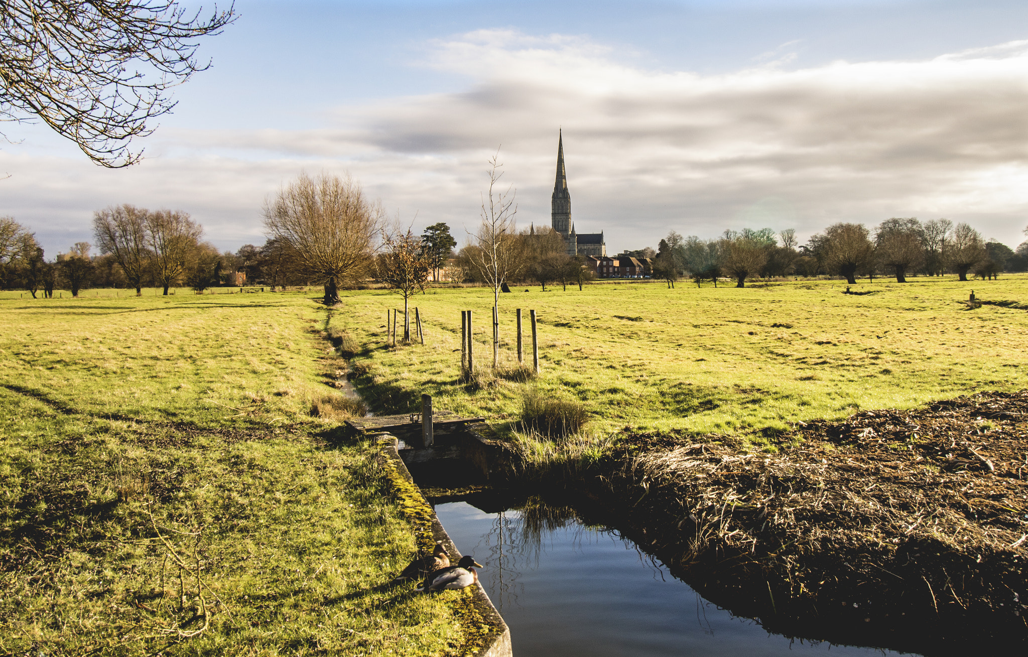 Canon EOS 750D (EOS Rebel T6i / EOS Kiss X8i) sample photo. Salisbury meadows photography