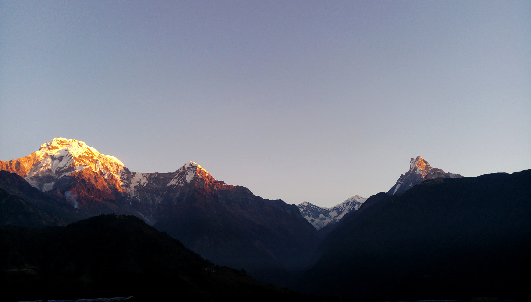 HTC DESIRE 828 DUAL SIM sample photo
