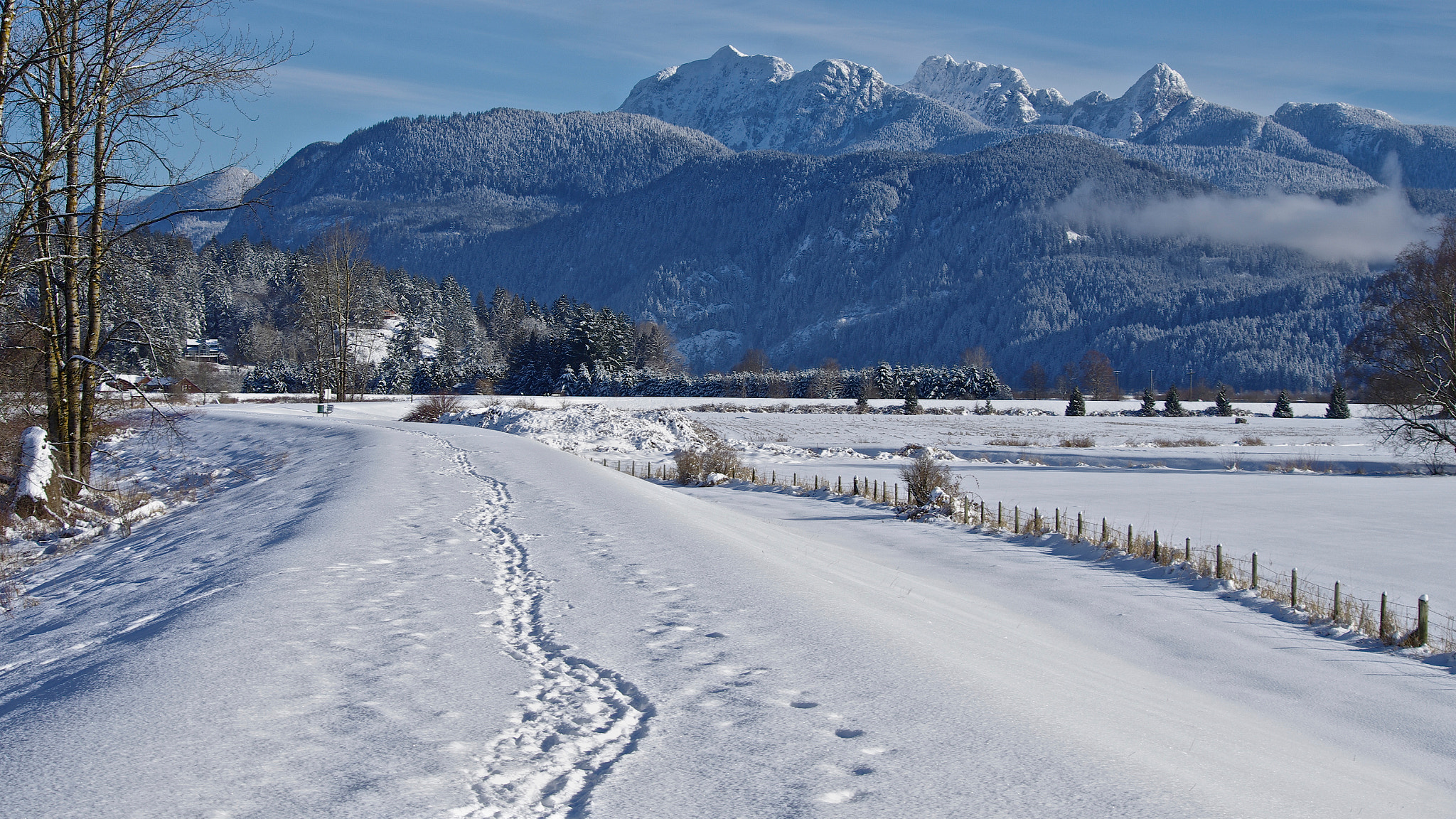 Pentax K-5 sample photo. Winter's path photography