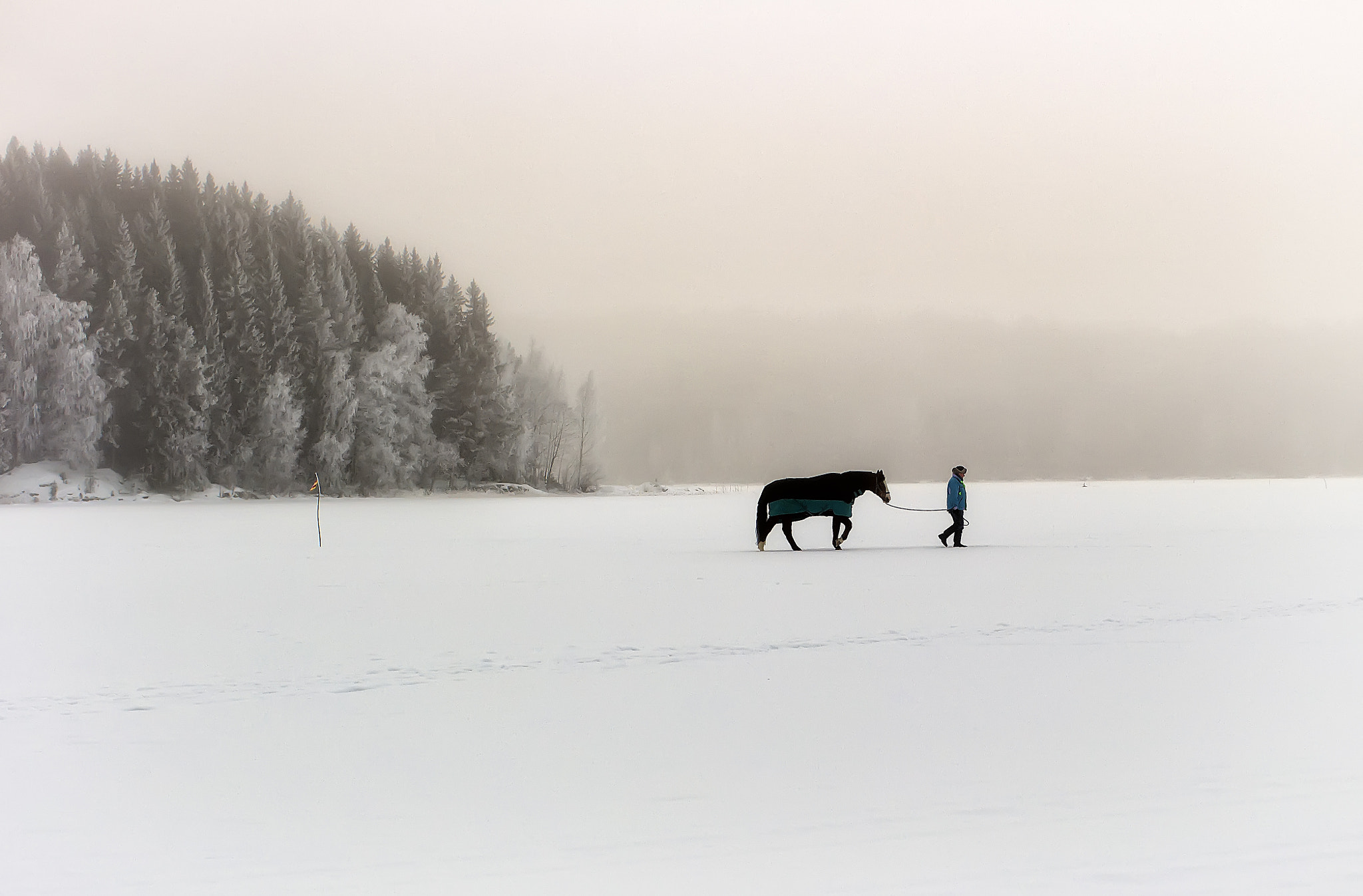 Samsung NX 45mm F1.8 sample photo. Man and horse on ice photography
