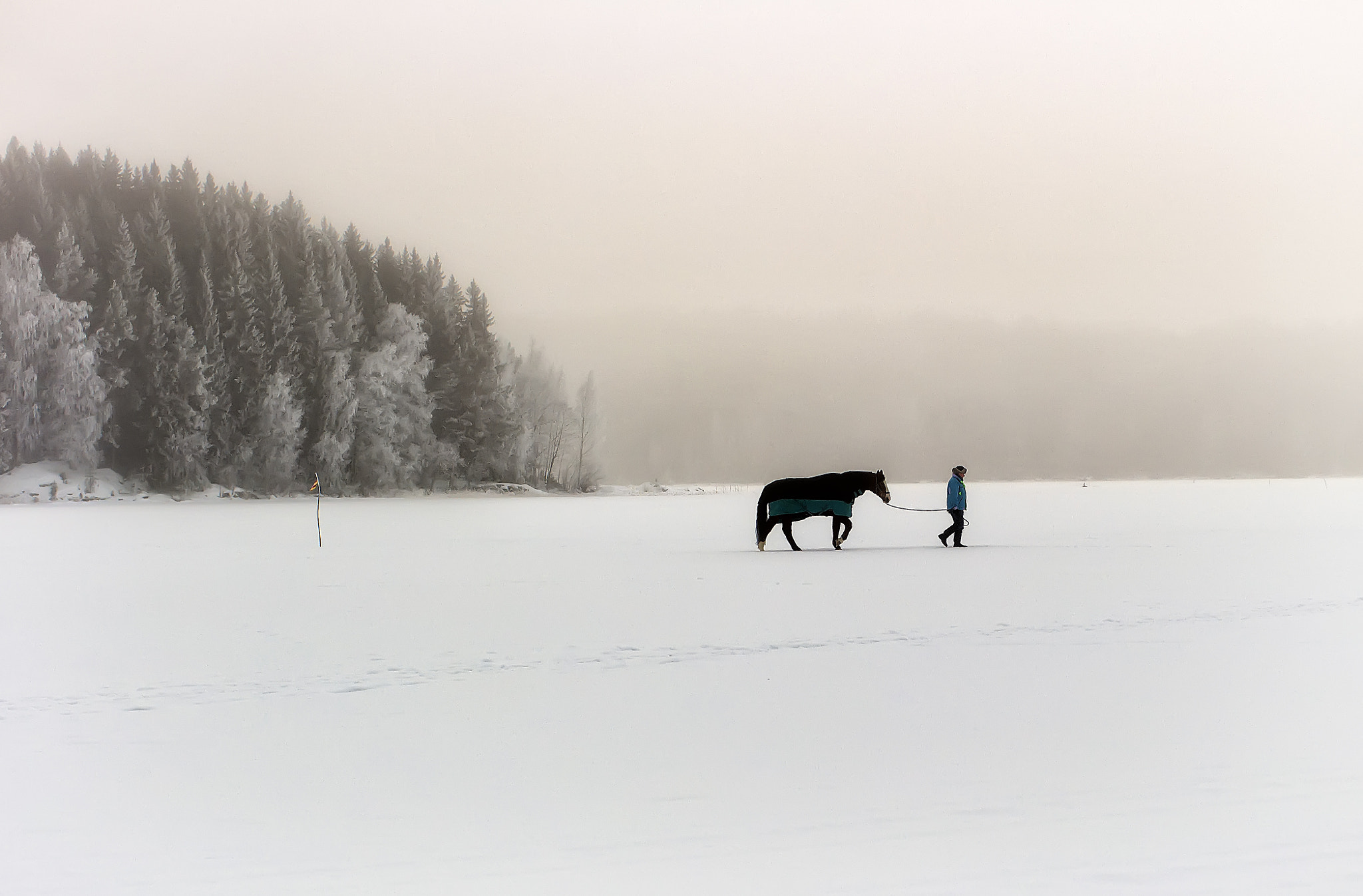 Samsung NX1000 + Samsung NX 45mm F1.8 sample photo. Man and horse on ice photography