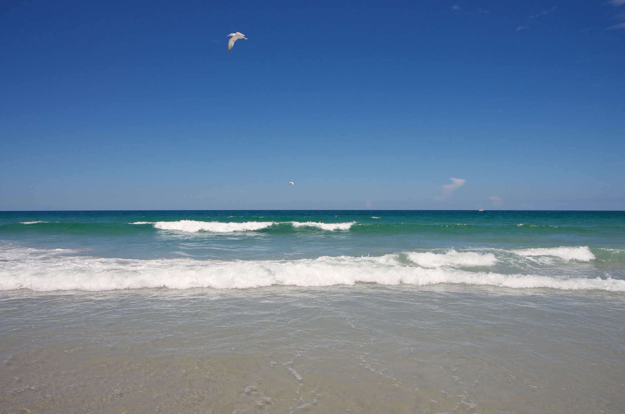 Pentax K-5 II sample photo. Beach and seagulls (2016) photography