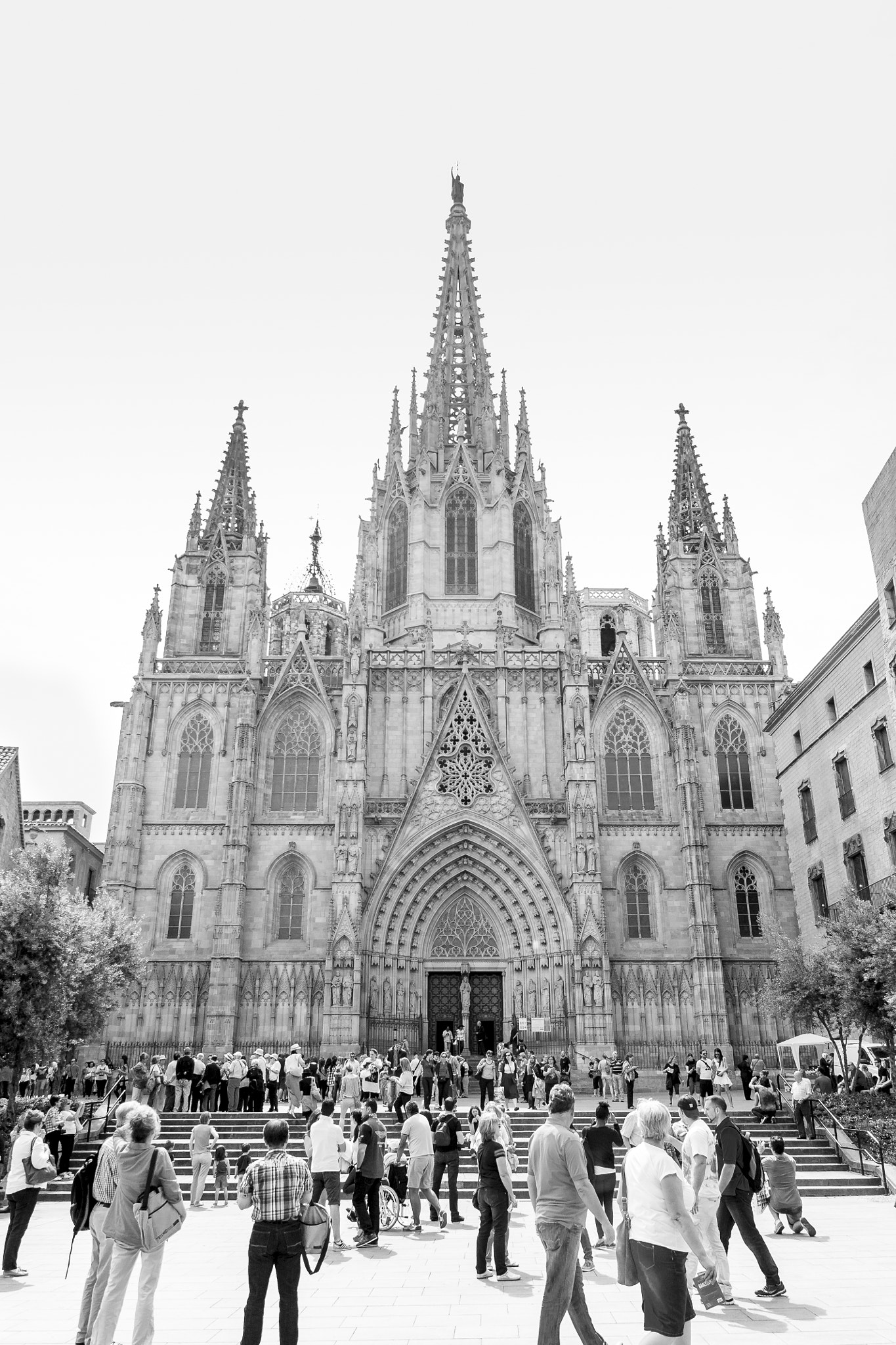 Canon EOS 450D (EOS Rebel XSi / EOS Kiss X2) sample photo. Barcelona cathedral photography