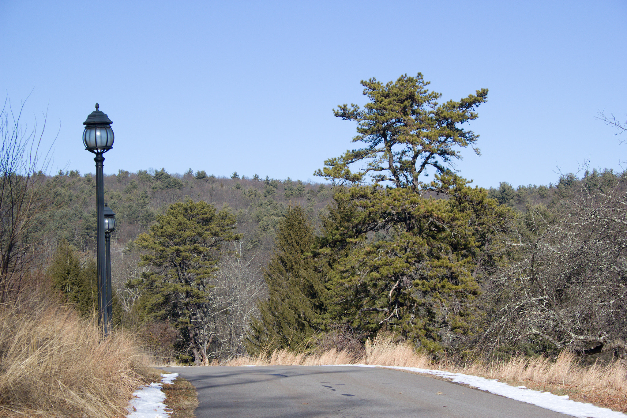18.00 - 55.00 mm sample photo. Lonely road photography