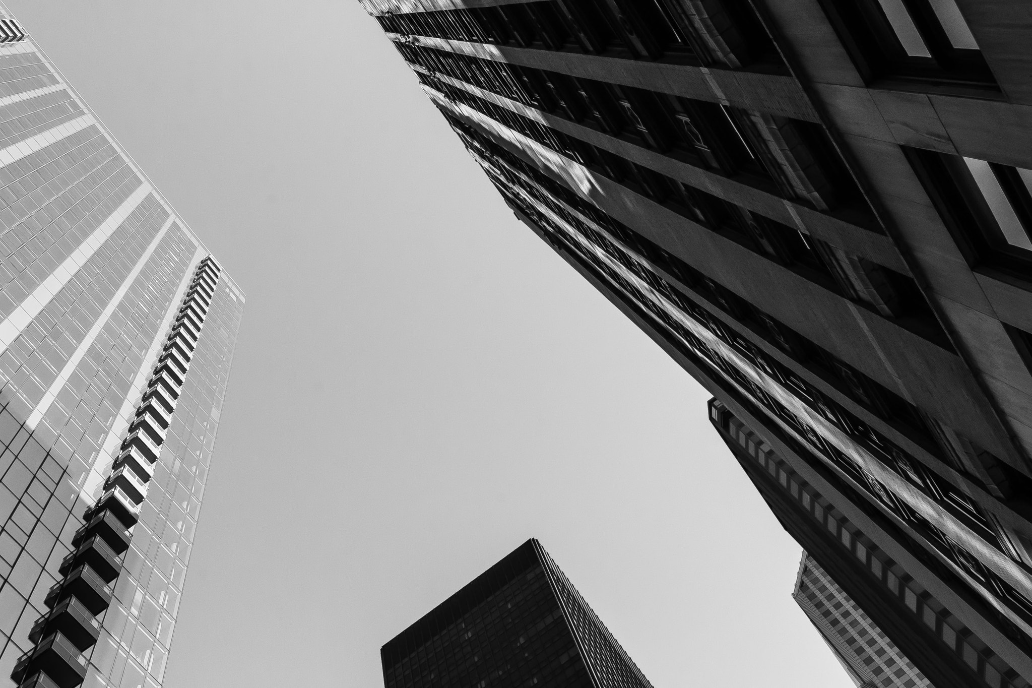 Canon EF-S 24mm F2.8 STM sample photo. Skewtopia photography