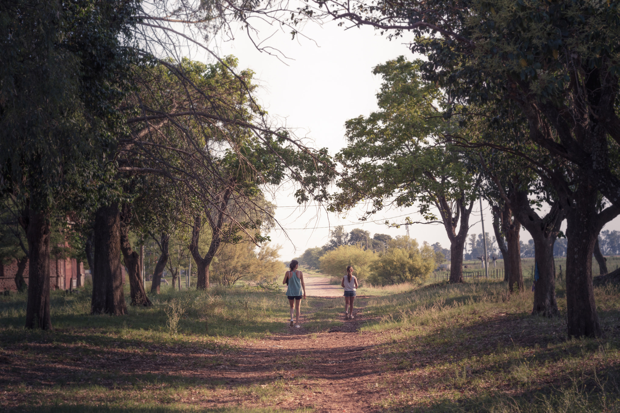 Canon EF 50mm f/1.8 sample photo. Estirpe. photography