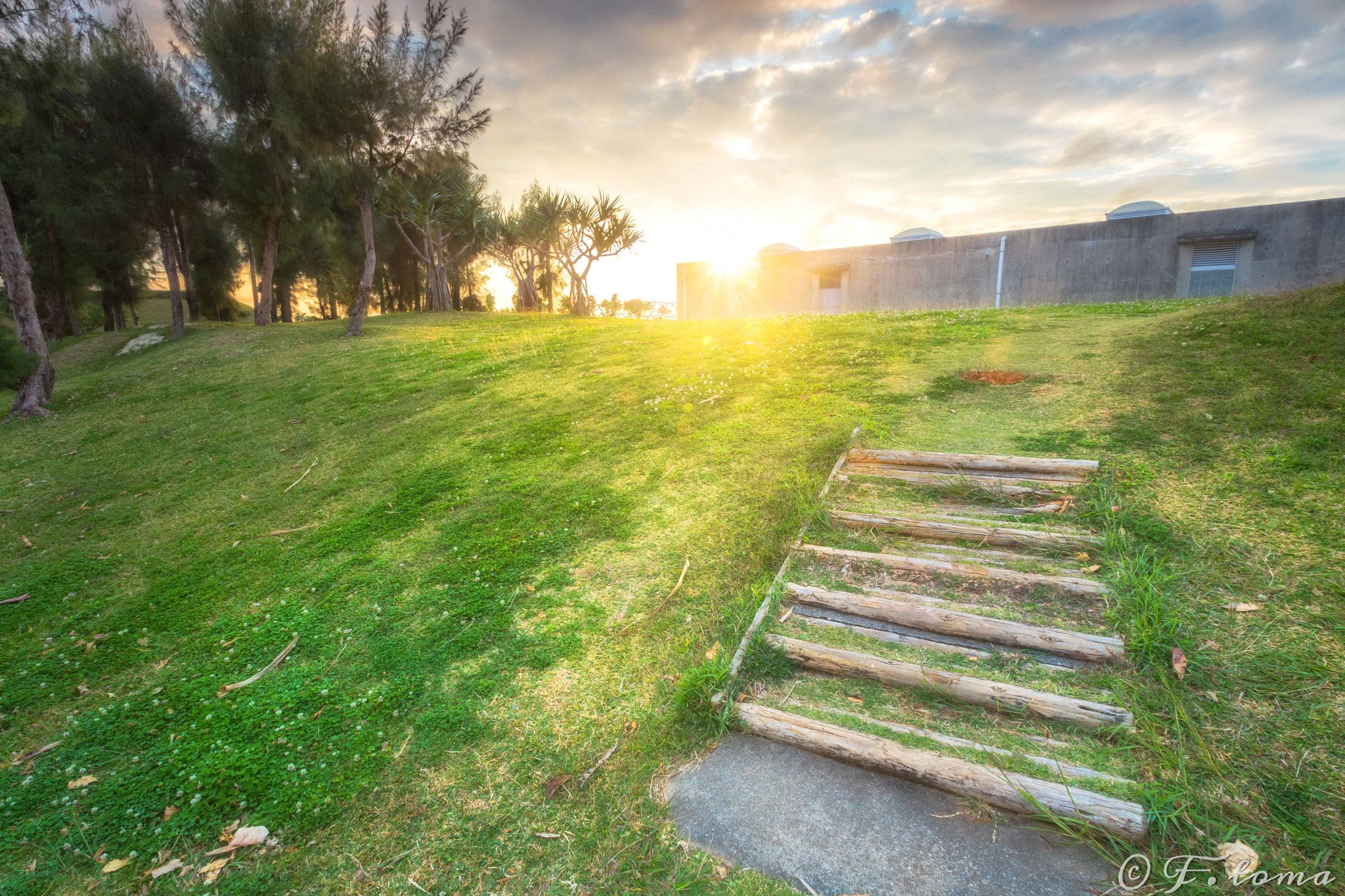 Sigma 10-20mm F3.5 EX DC HSM sample photo. Towards the sun photography