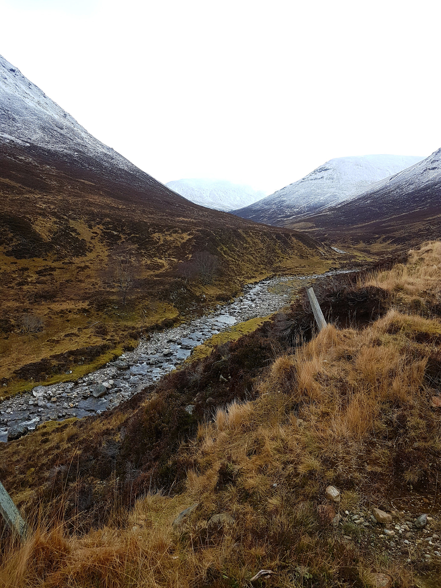 Samsung Galaxy S7 Edge + Samsung Galaxy S7 Edge Rear Camera sample photo. Allt fionndrigh photography