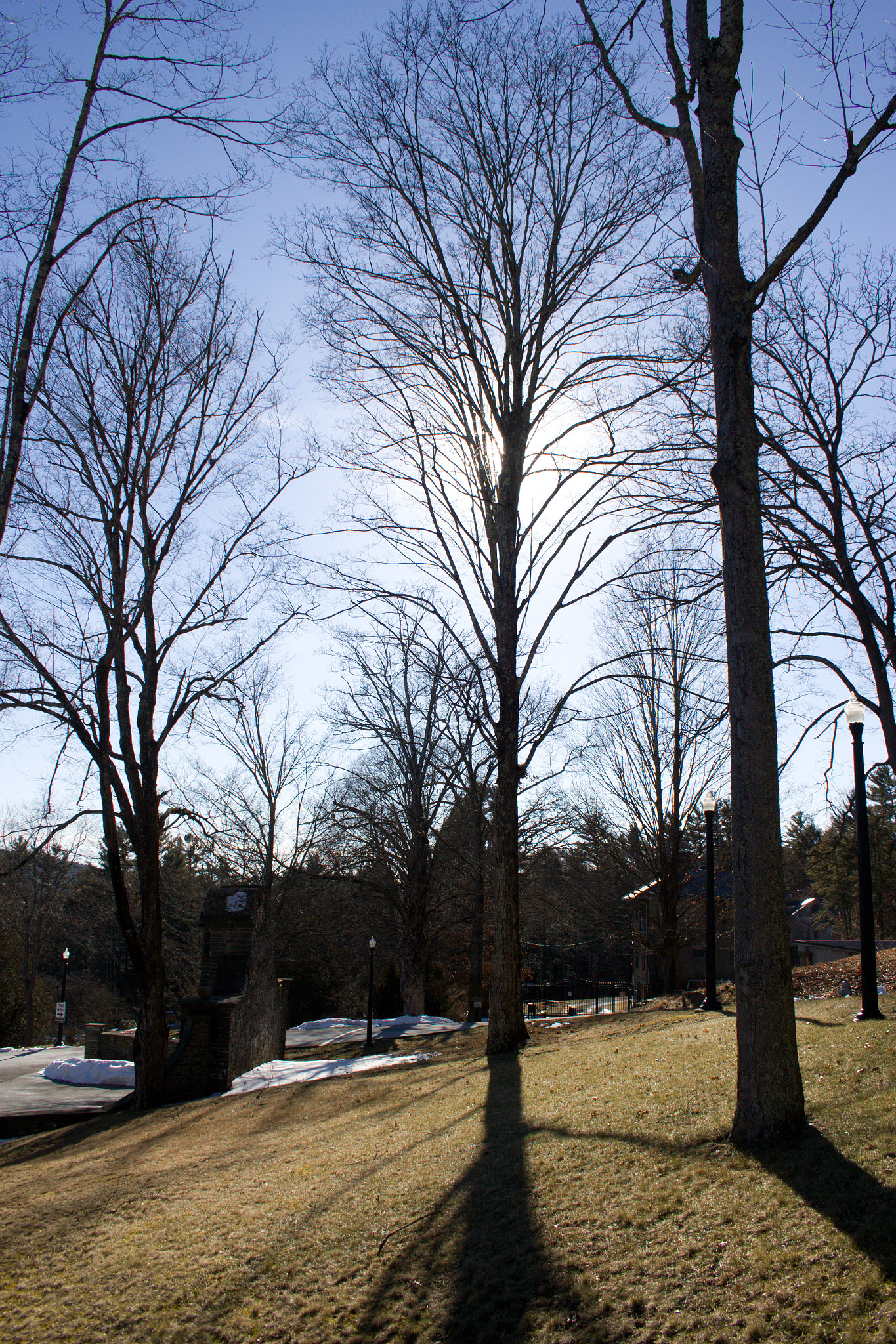 18.00 - 55.00 mm sample photo. Sunlight vs. shadows photography