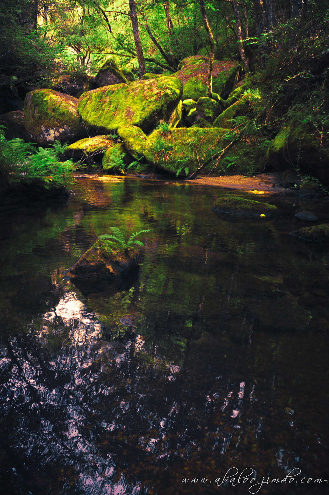 Nikon D70 sample photo. A veiga photography