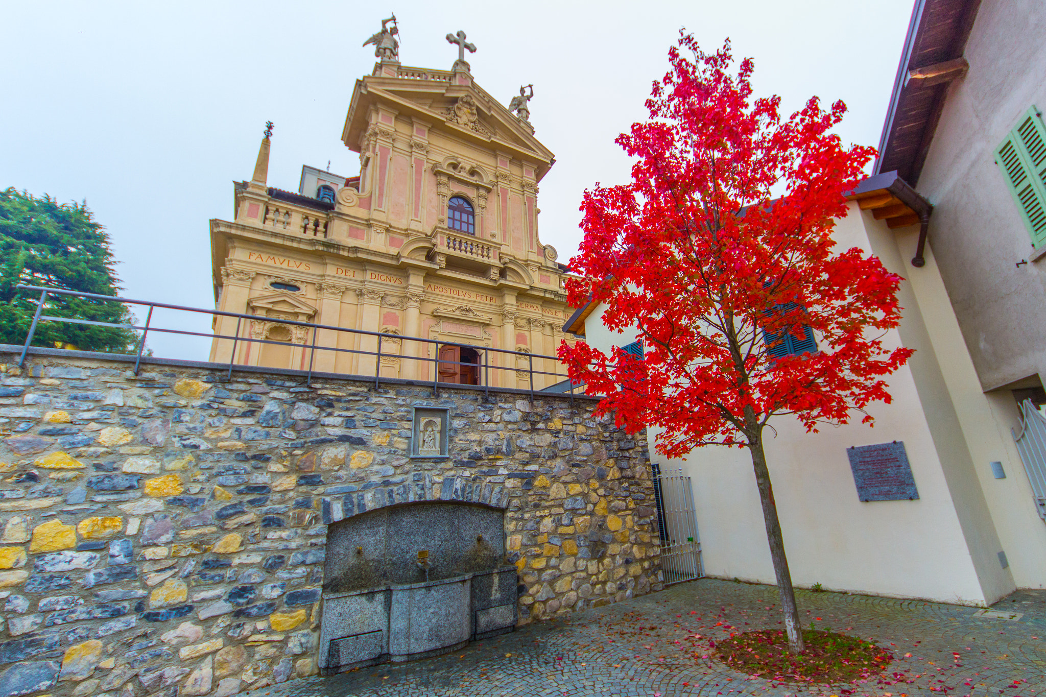 Sigma 8-16mm F4.5-5.6 DC HSM sample photo. Autumn tree photography