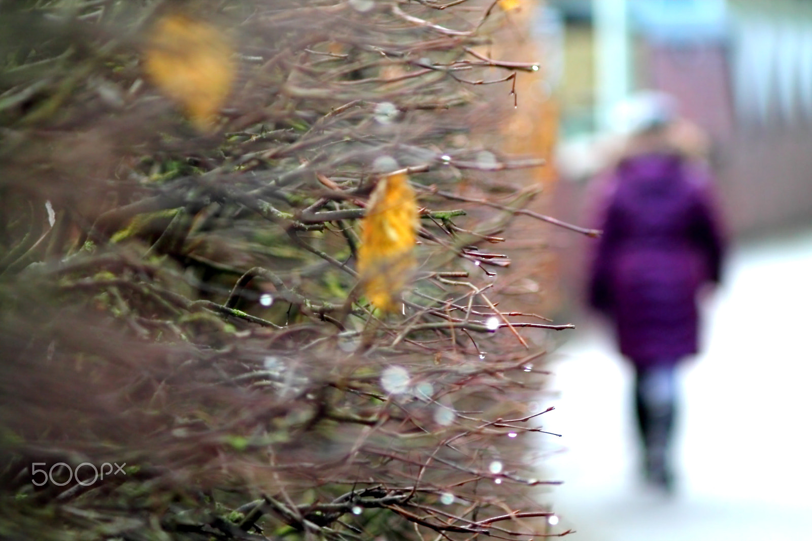 Canon EF 35-80mm f/4-5.6 sample photo. Shallow focused female figure. photography