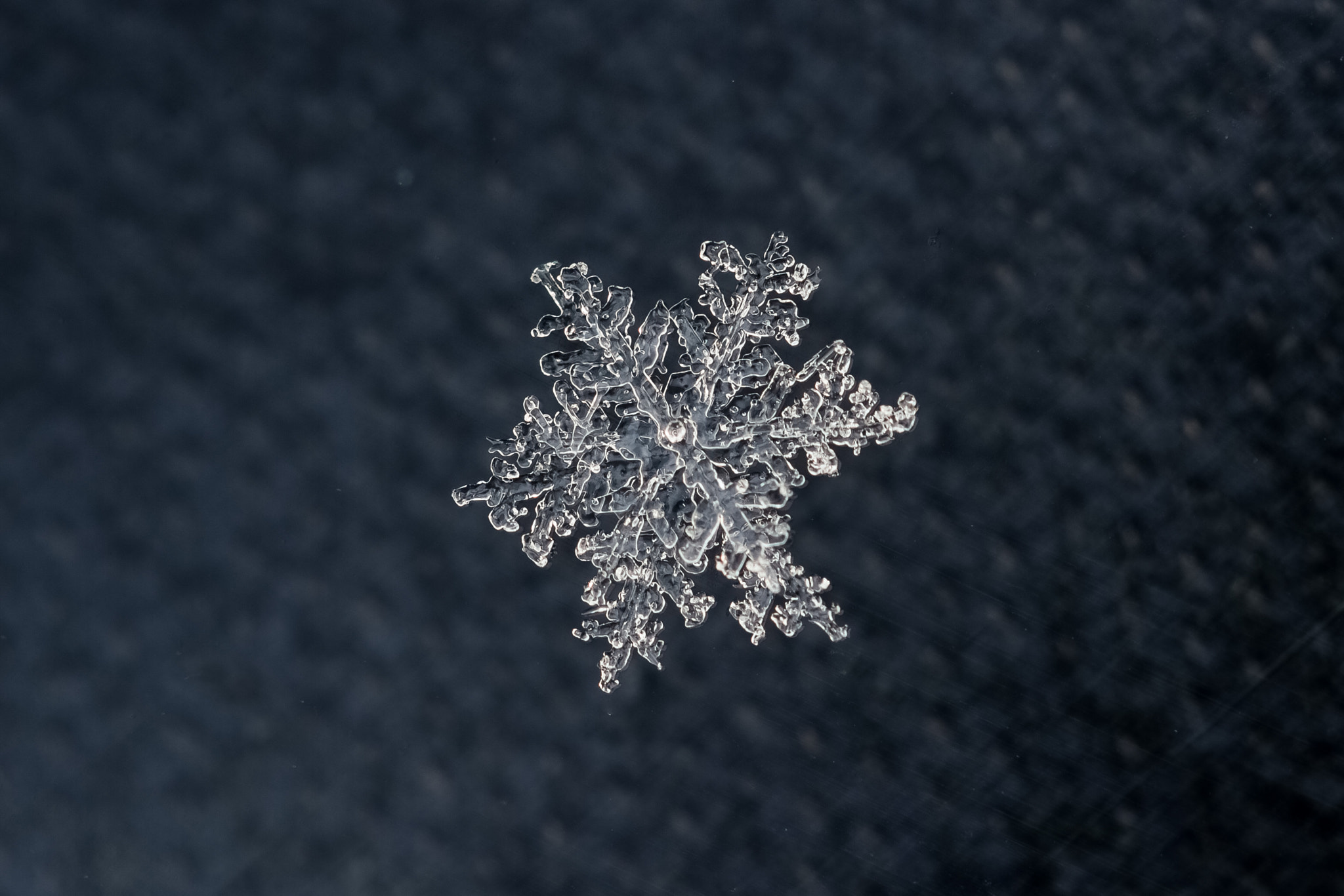 Canon EF 180mm F3.5L Macro USM sample photo. Melted snowflake photography