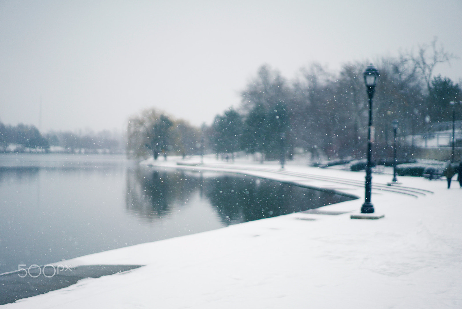 Sony a7S + Sony Sonnar T* FE 55mm F1.8 ZA sample photo. Save the date 11 photography