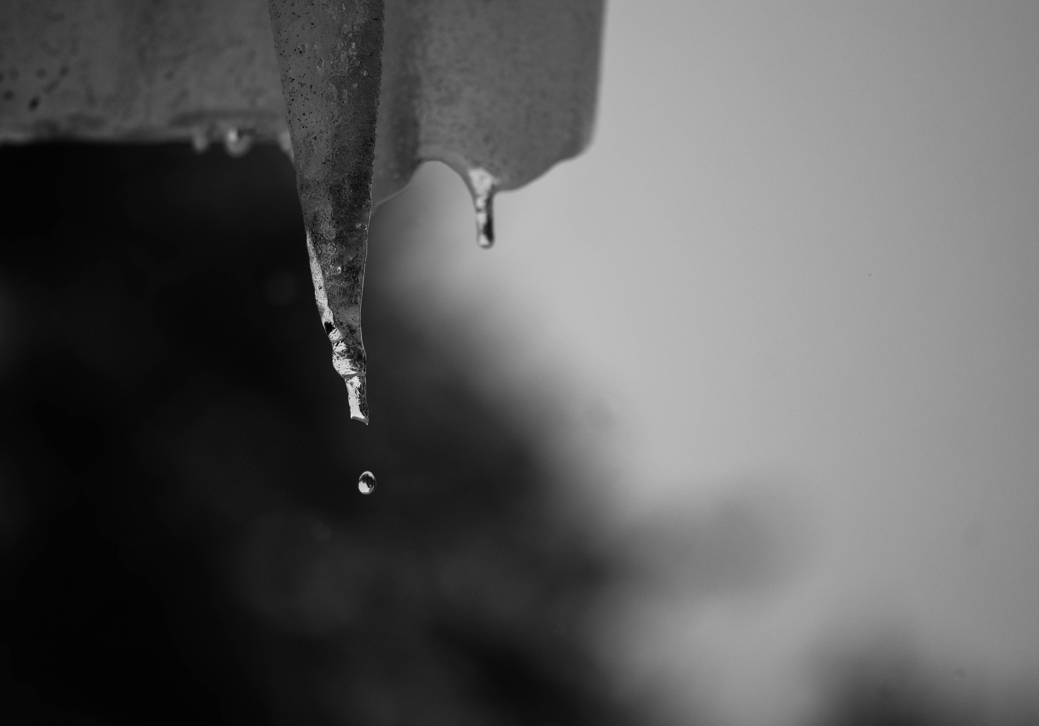 Sigma 105mm F2.8 EX DG OS HSM sample photo. Gone photography