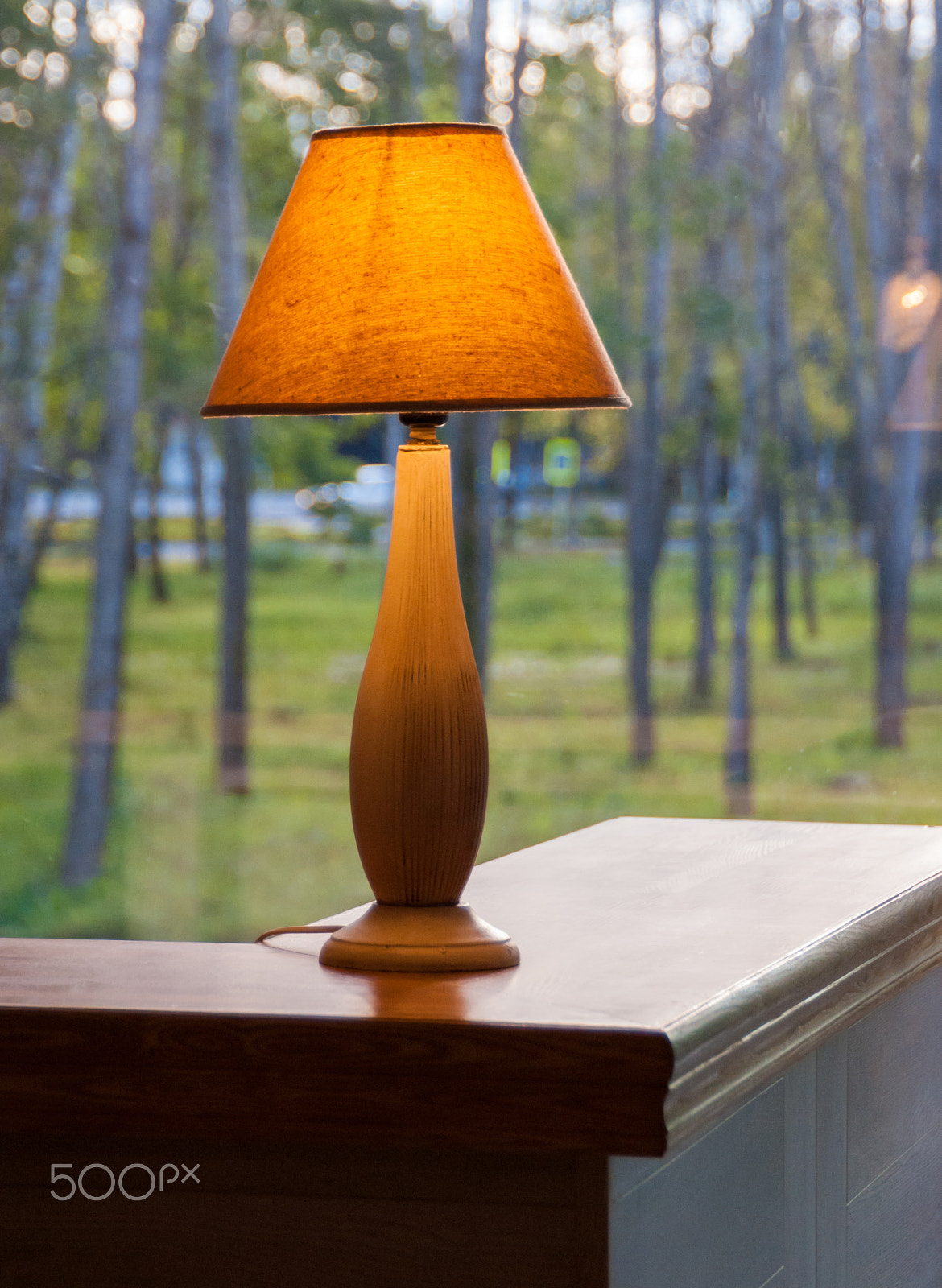 Nikon D3000 sample photo. Table lamp photography