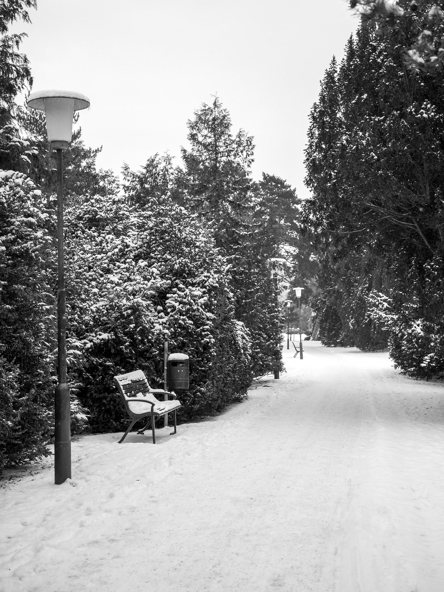 LUMIX G 25/F1.7 sample photo. Winter wonderland photography