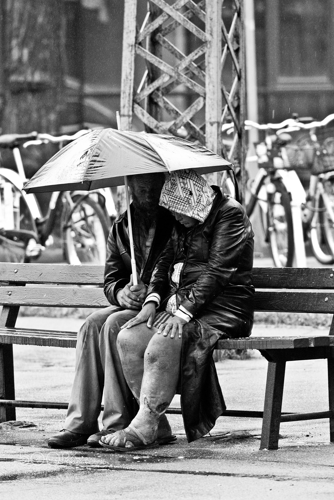 Nikon D80 + Nikon AF-S Nikkor 300mm F4D ED-IF sample photo. Unconditional love photography