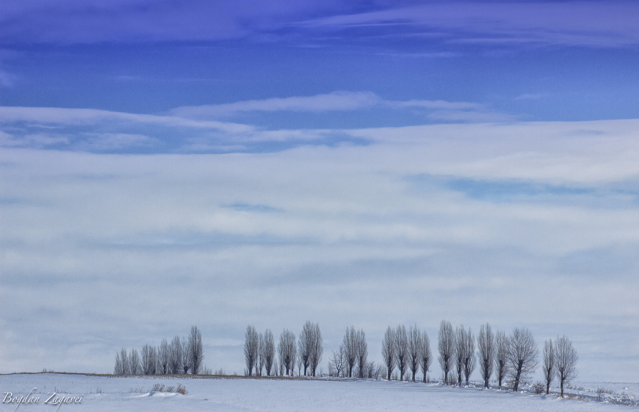 Tamron SP 35mm F1.8 Di VC USD sample photo. Wintersun photography