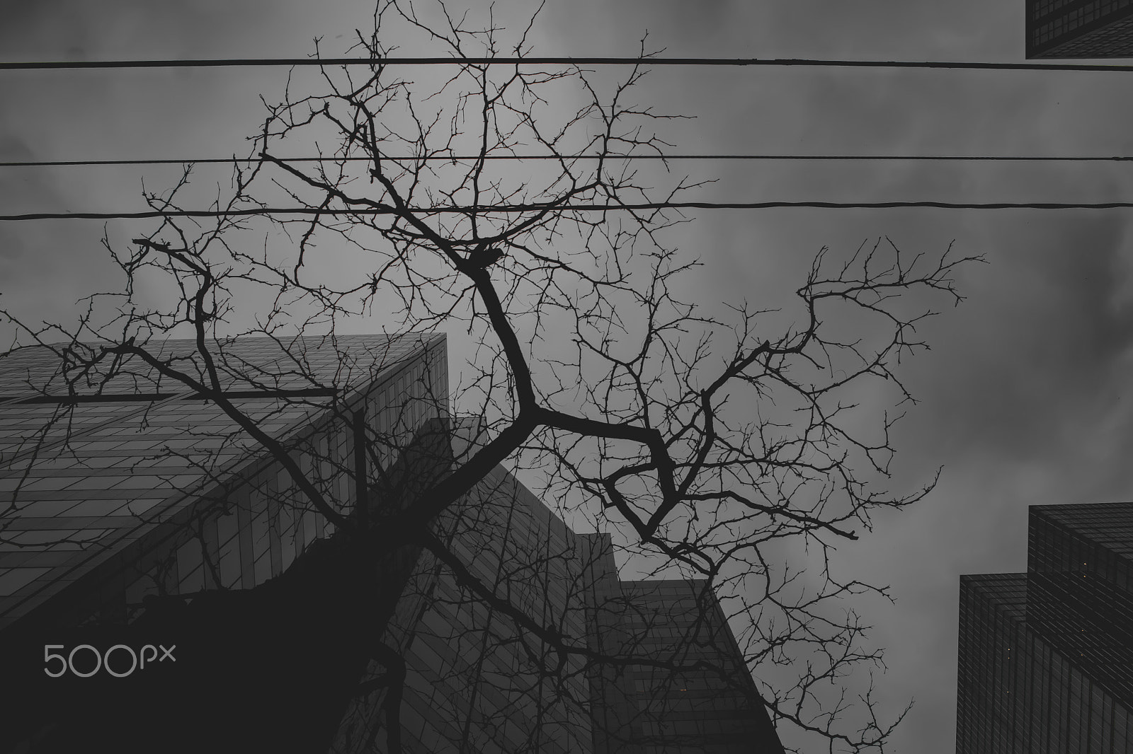 Sony a6000 + Sony DT 50mm F1.8 SAM sample photo. Dark photography