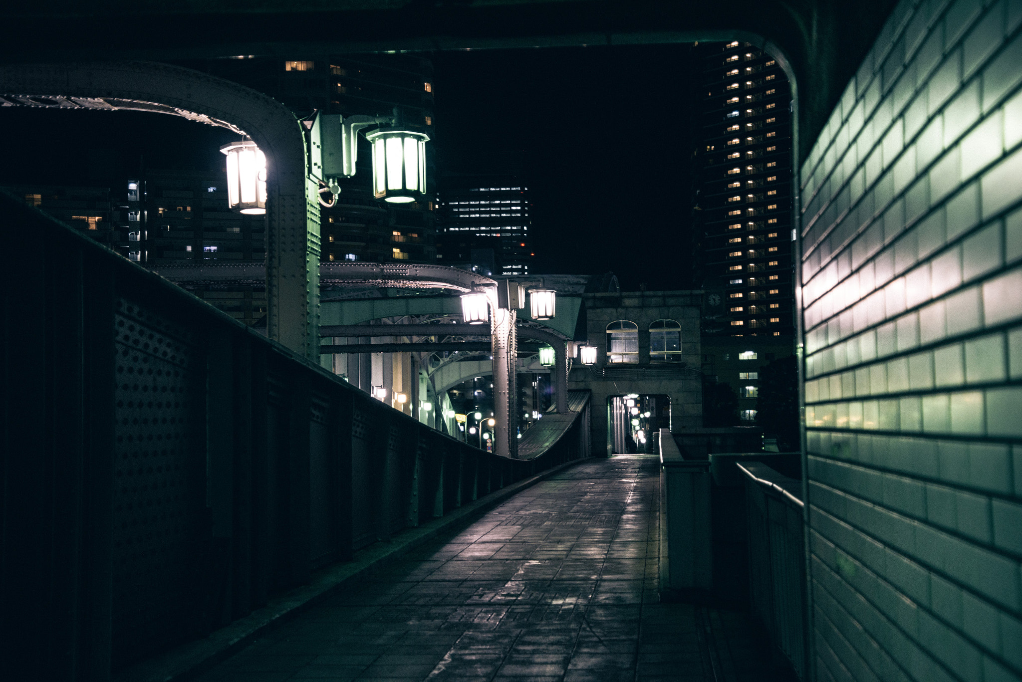 Nikon D810 sample photo. Bridge photography