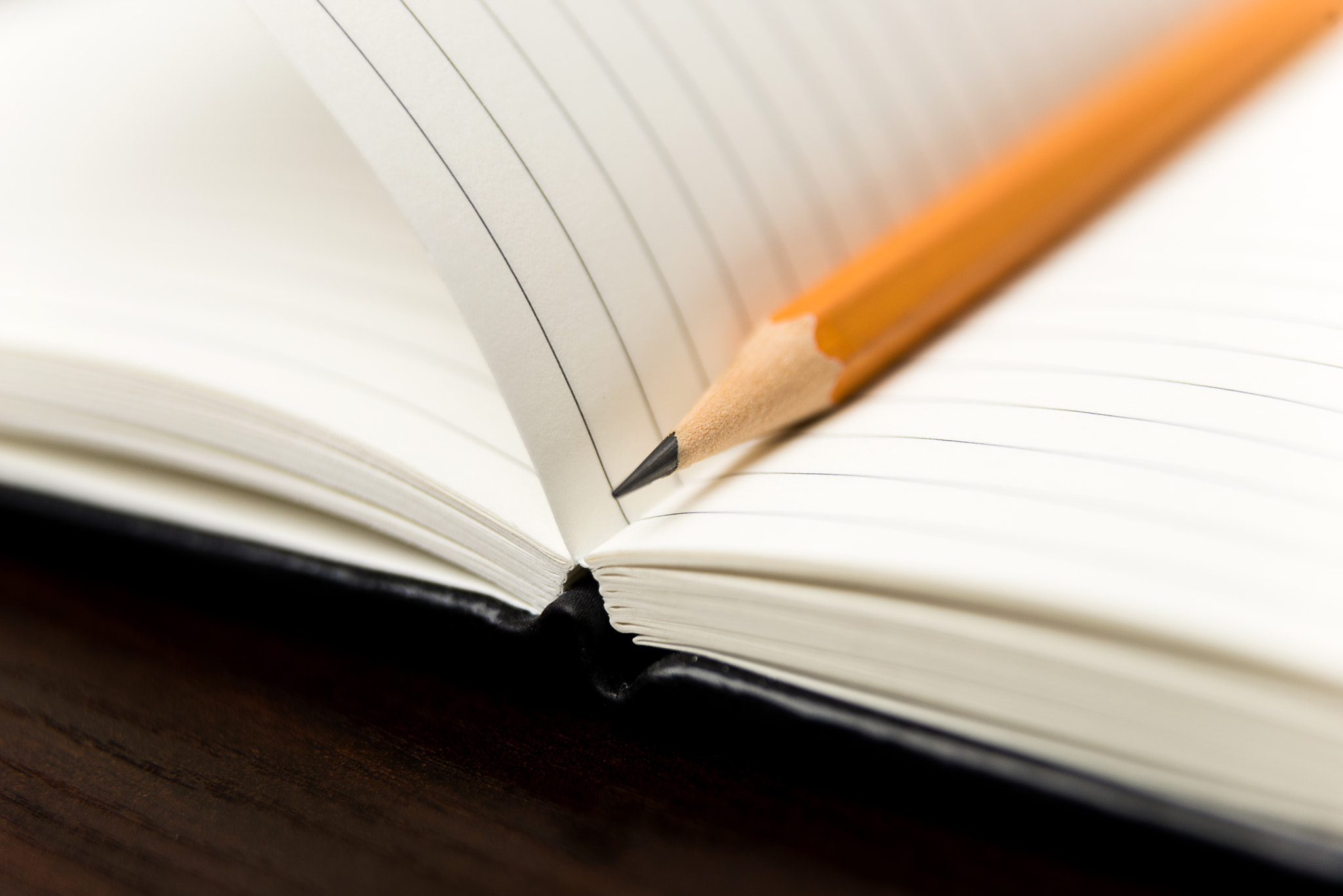 Nikon D800 sample photo. Pencil on the pages of an open notebook for records photography
