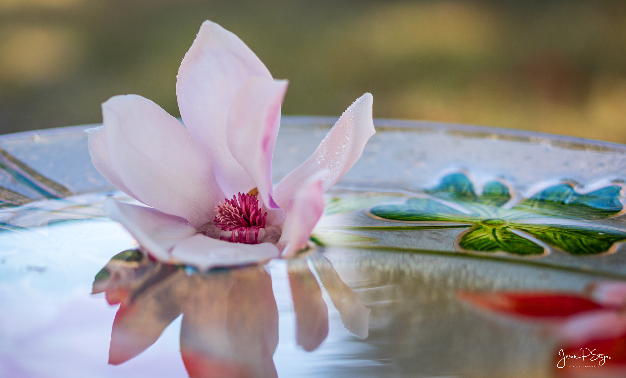 E 50mm F1.8 OSS sample photo. Flowers for my valentine photography