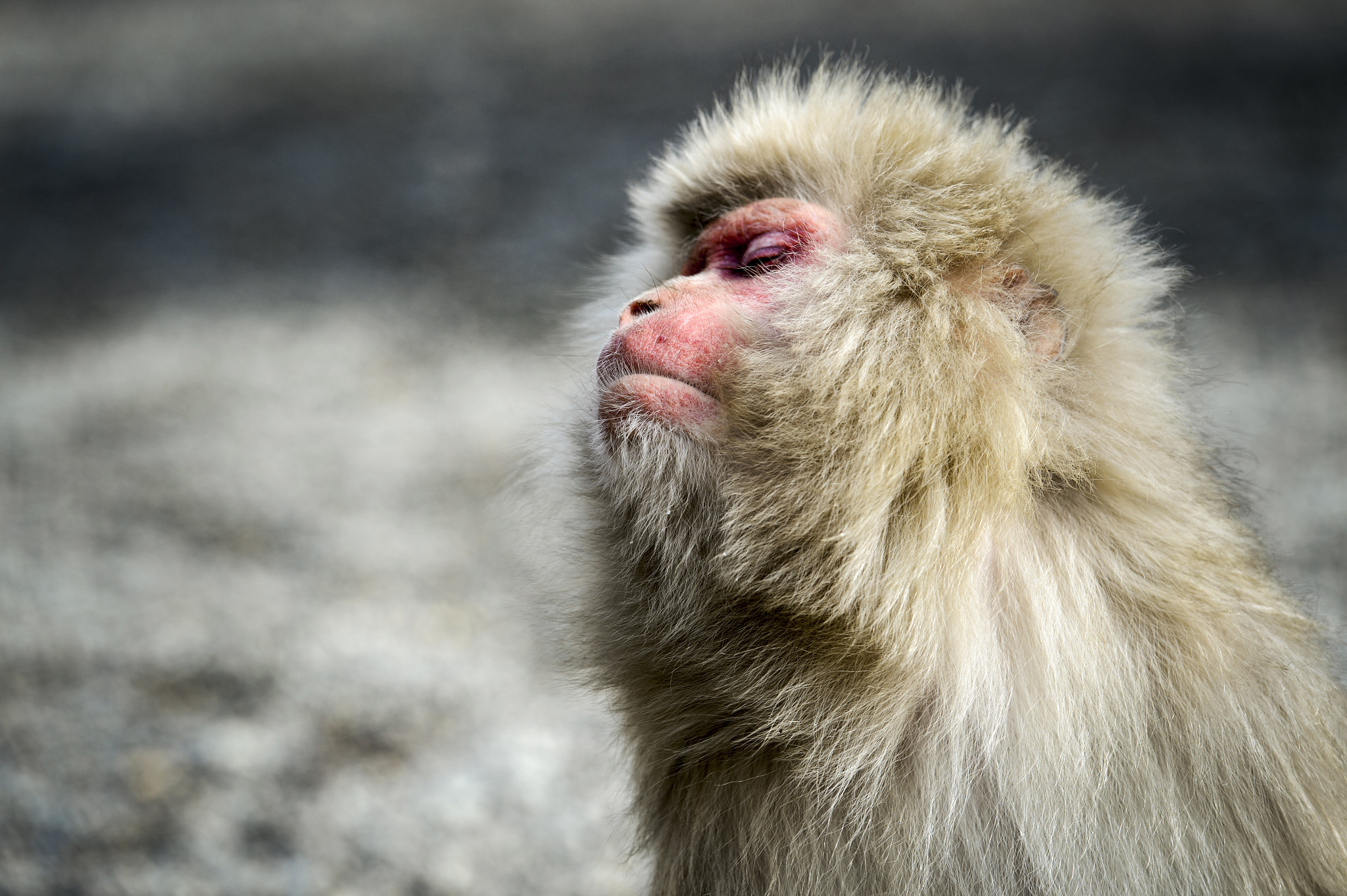 Nikon D4S sample photo. Heart touched photography