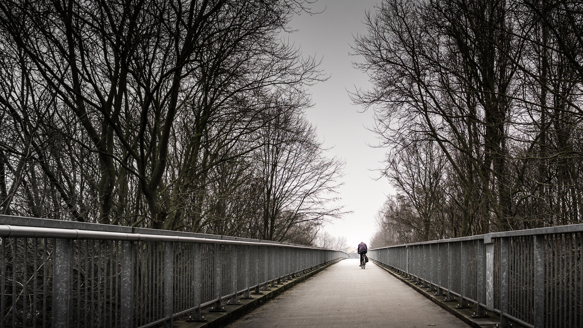 Sony a6000 sample photo. A lonely rider in antwerp. photography