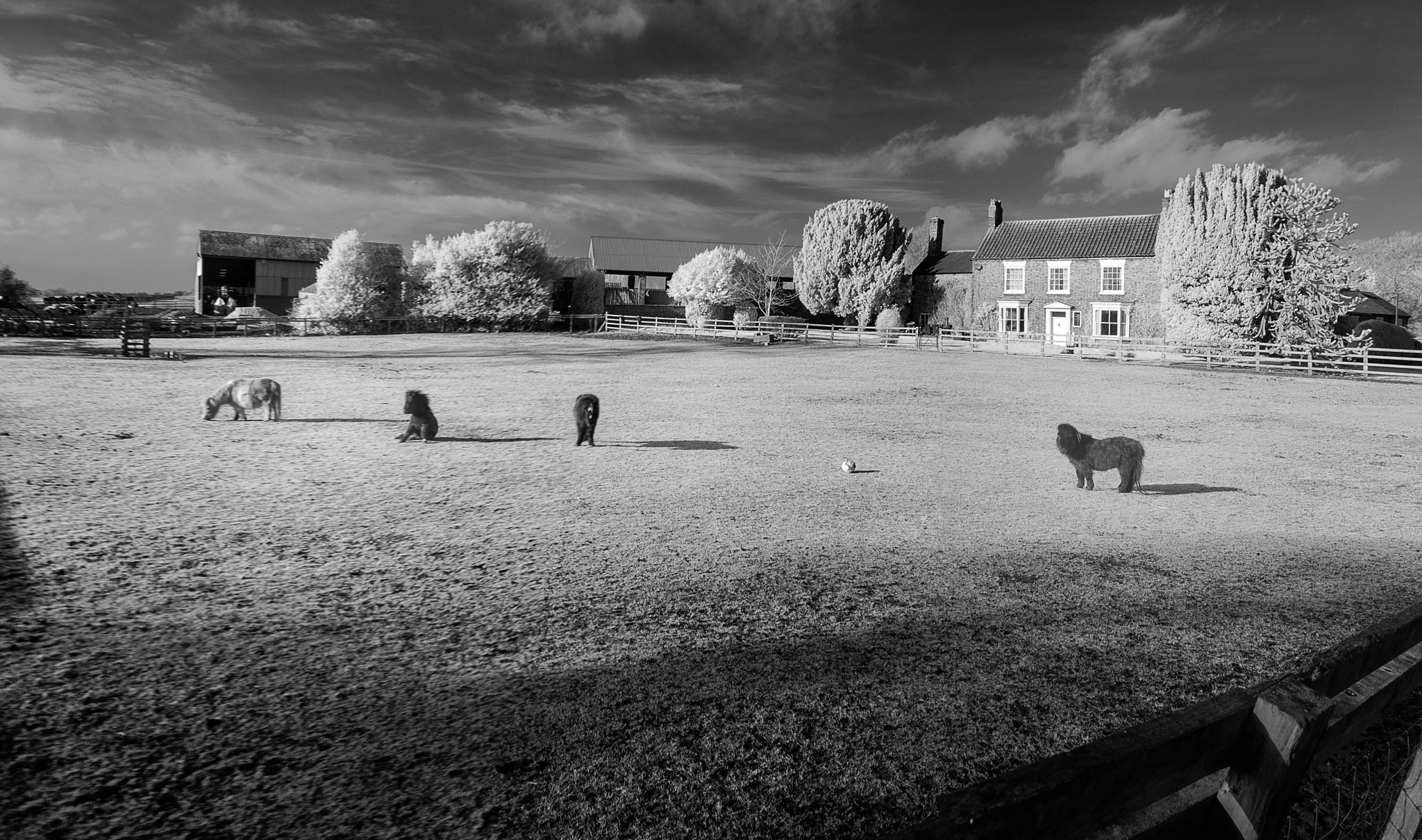 Nikon AF-S Nikkor 24-70mm F2.8G ED sample photo. Helperby farmhouse photography