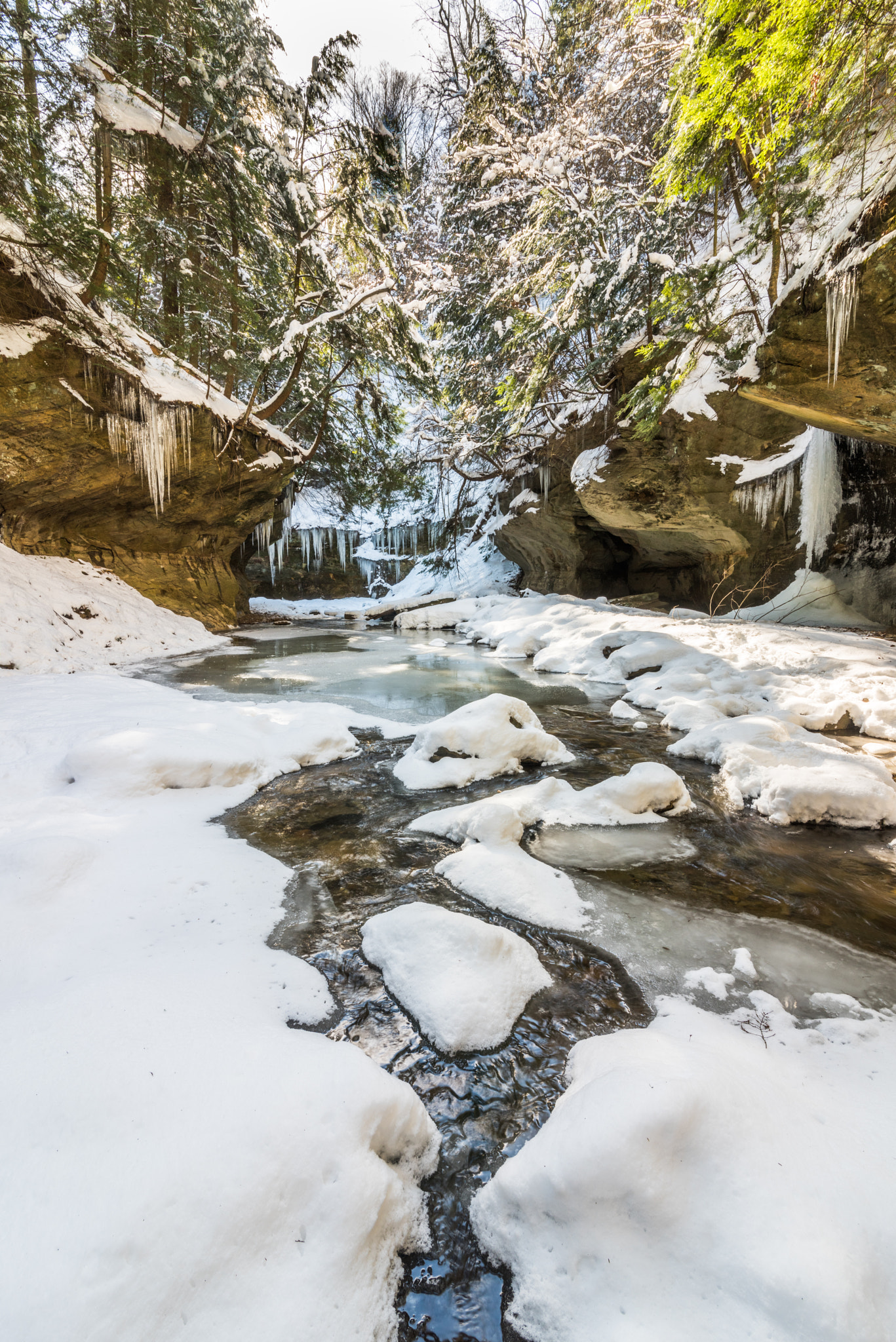 Nikon D810 sample photo. A bit of running water among the ice photography