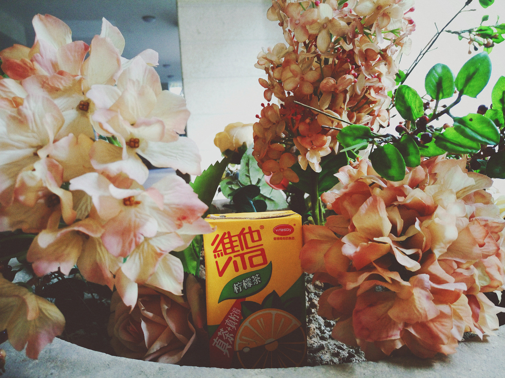 Meizu MX5 sample photo