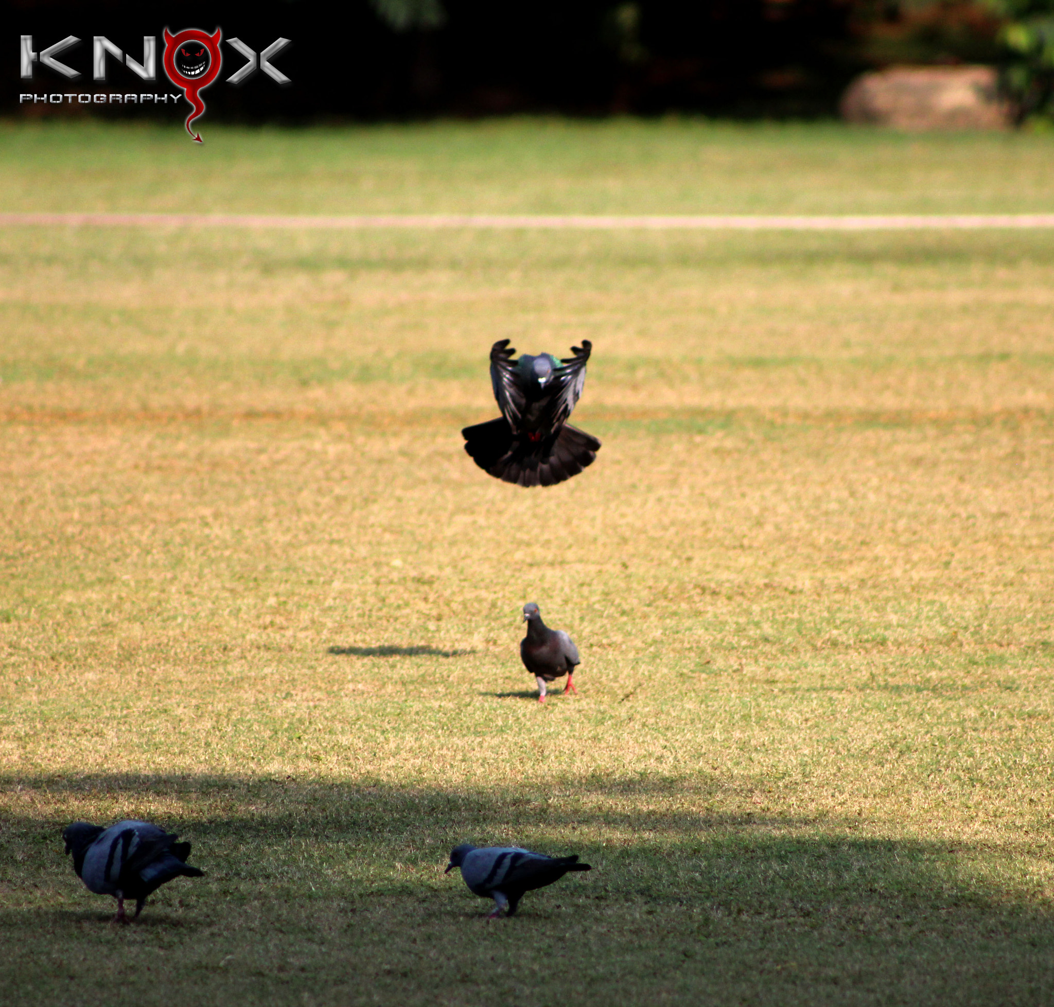 Canon EF 75-300mm f/4-5.6 USM sample photo