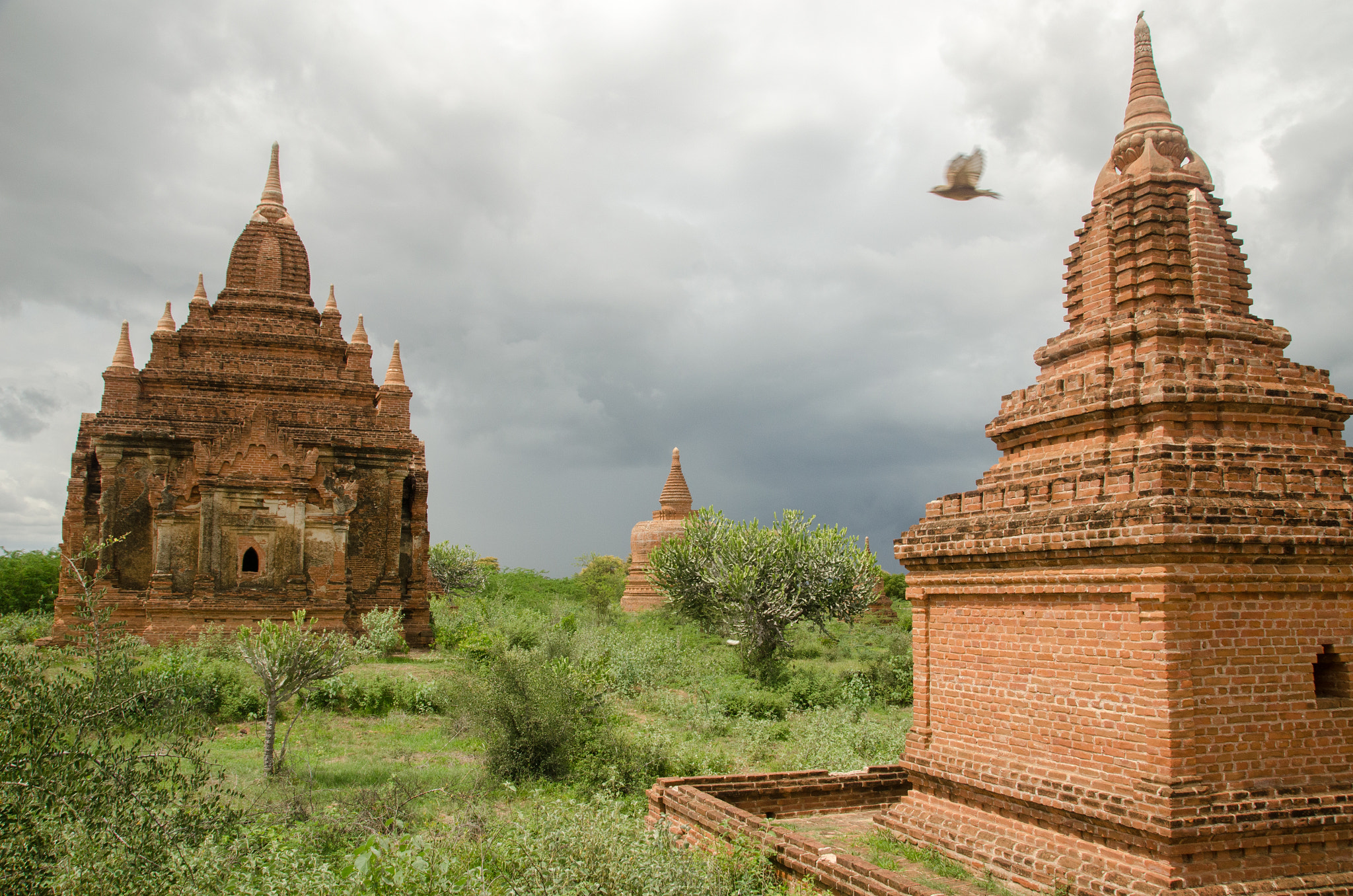 Sigma 18-250mm F3.5-6.3 DC Macro OS HSM sample photo. Bagan3 photography