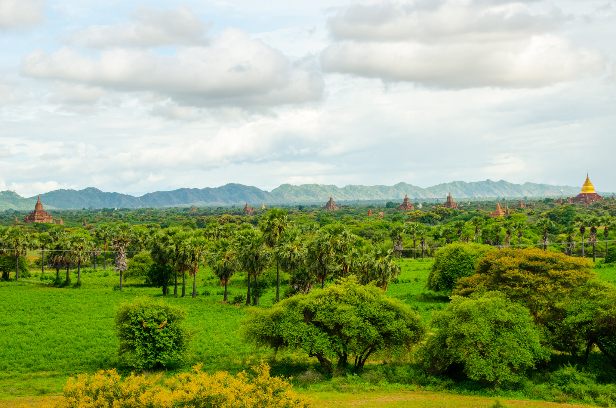 Sigma 18-250mm F3.5-6.3 DC Macro OS HSM sample photo. Bagan5 photography