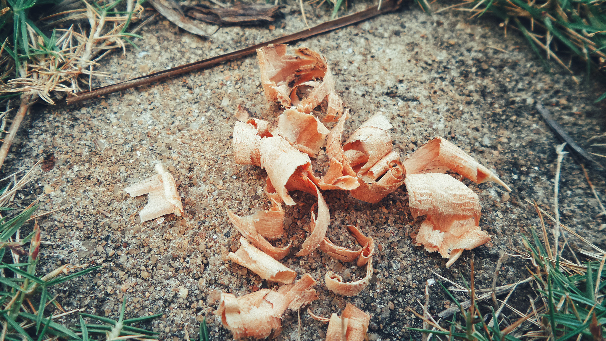 Samsung Galaxy K Zoom sample photo