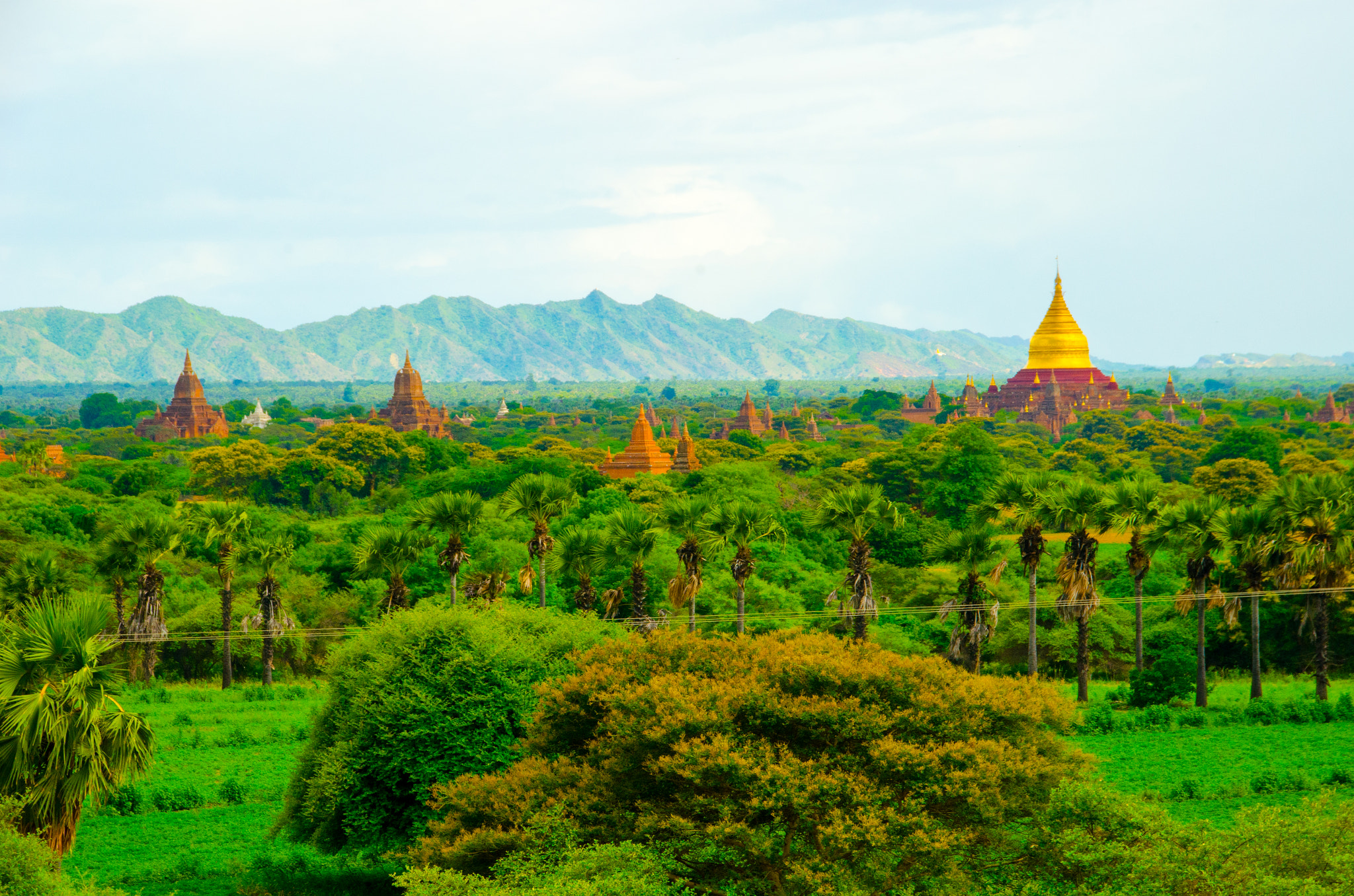 Sigma 18-250mm F3.5-6.3 DC Macro OS HSM sample photo. Bagan5 photography