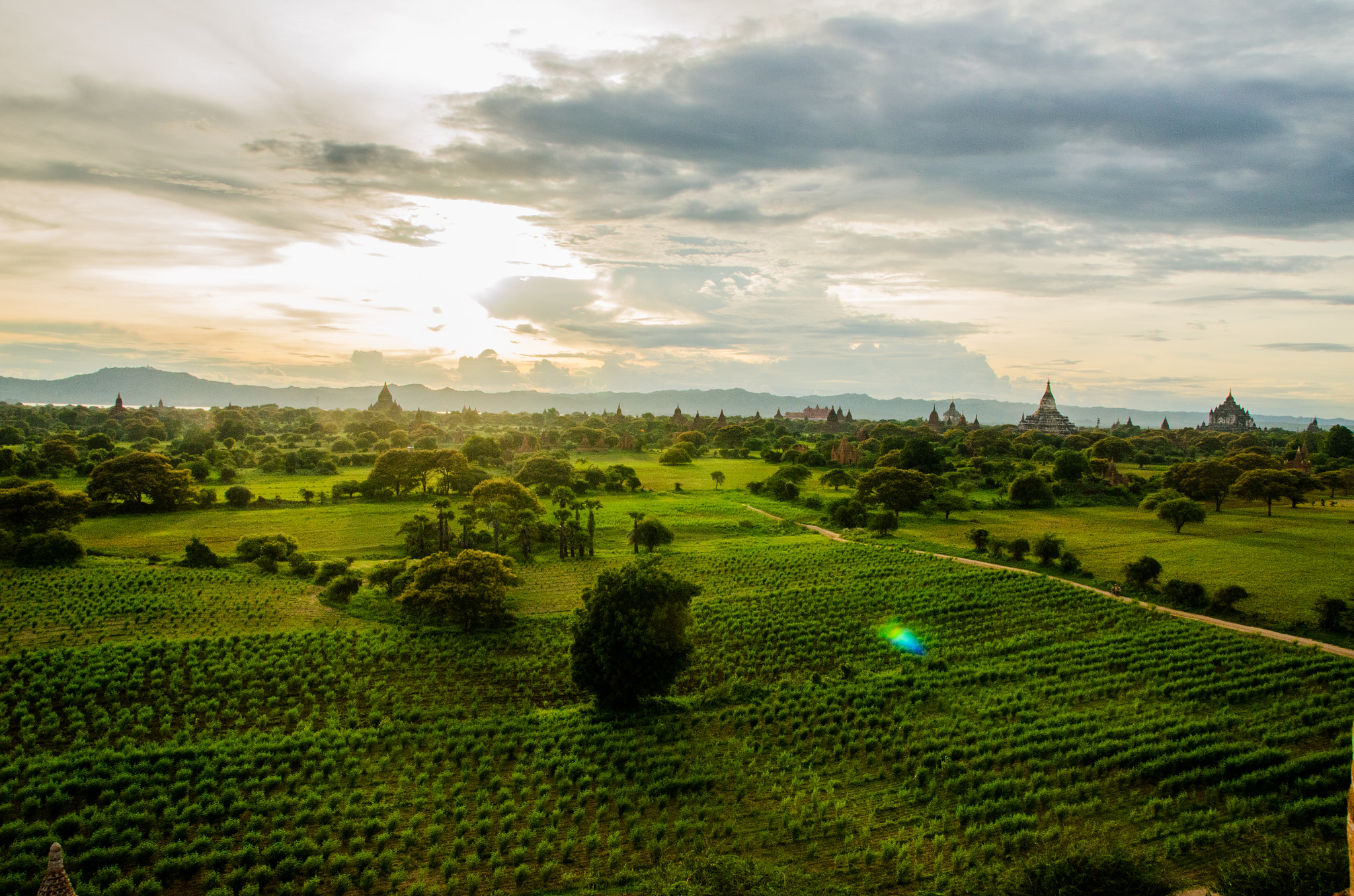 Sigma 18-250mm F3.5-6.3 DC Macro OS HSM sample photo. Bagan7 photography